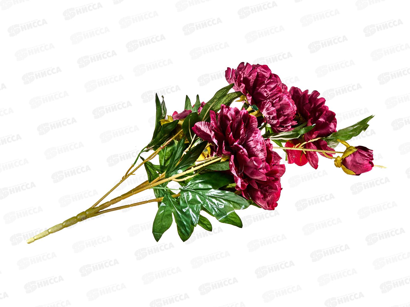 Букет 67см 5гол №171  81195 *10  Б