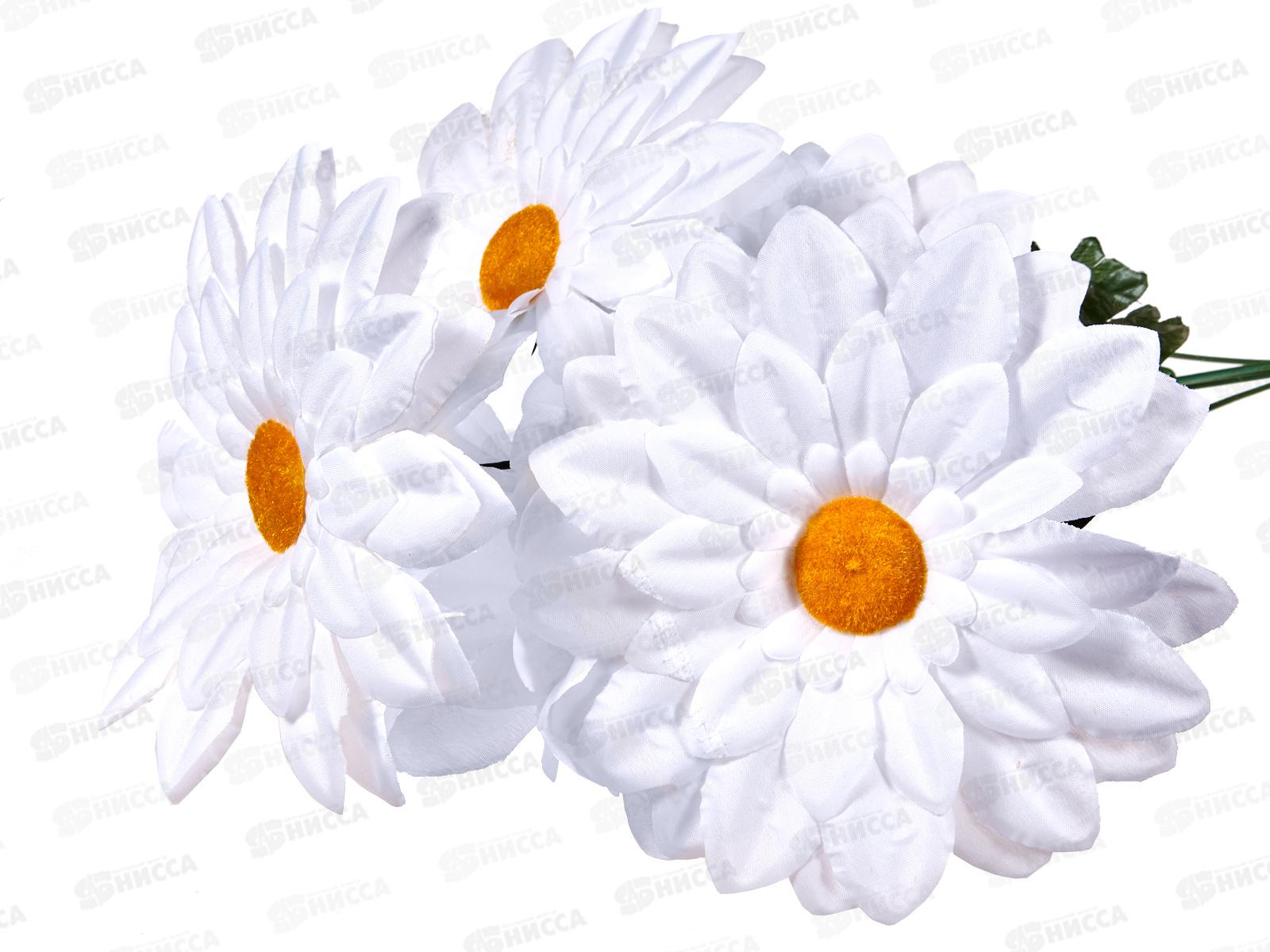 Букет 65см 6гол №254  81245 *20  Б