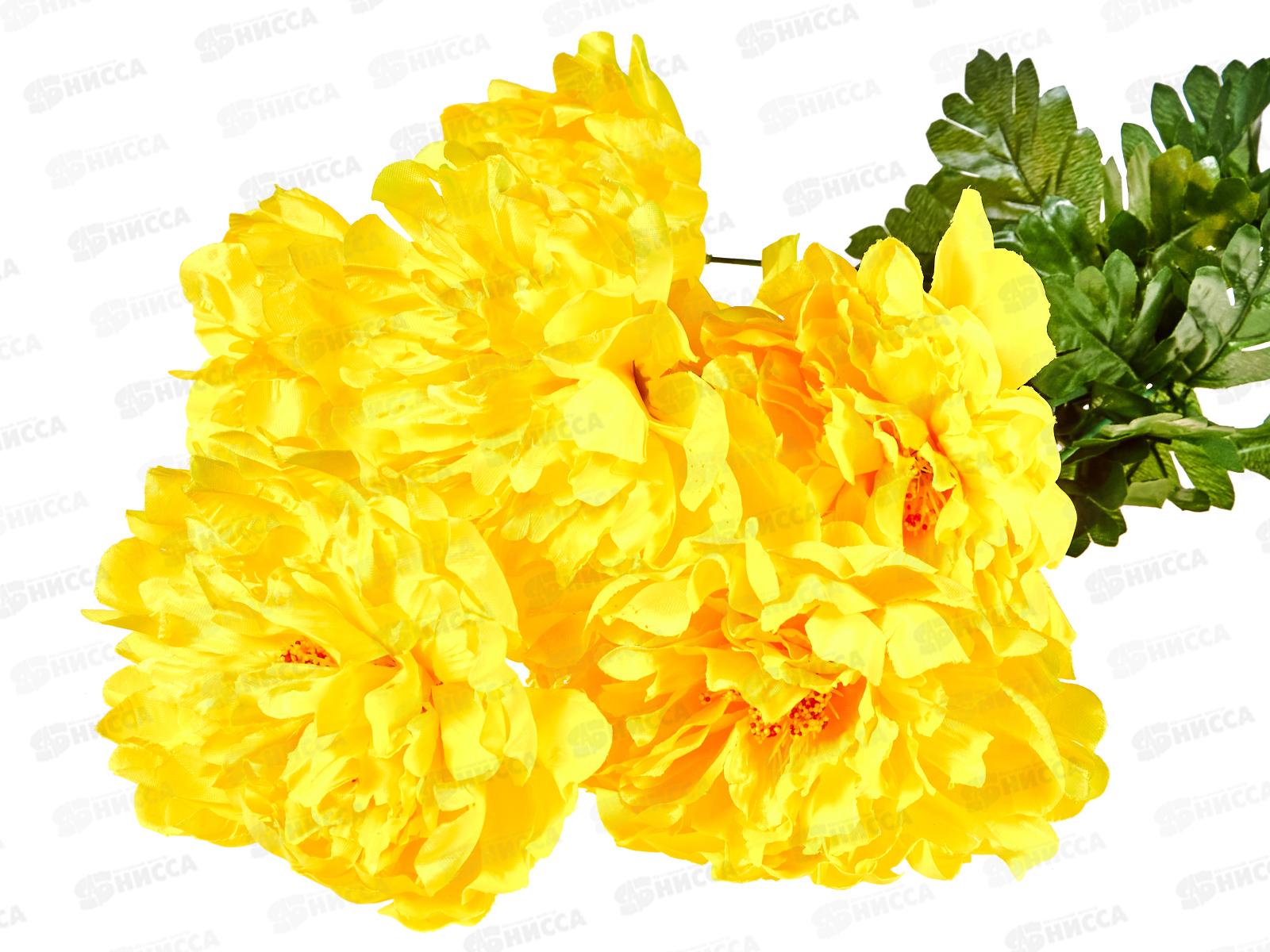 Букет 55см 7гол №107  81146 *20  Б