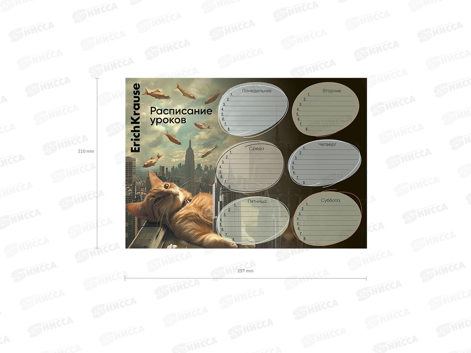 Расписание уроков А4 EK Big City Cats 63480 *20