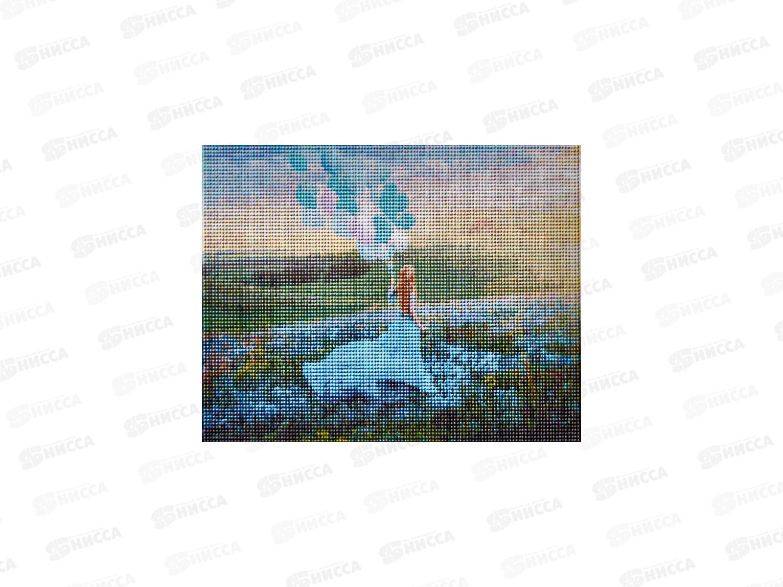 Алмаз. мозаика (класс.) 30х40см Девушка с шарами, НД-6339 без подр.