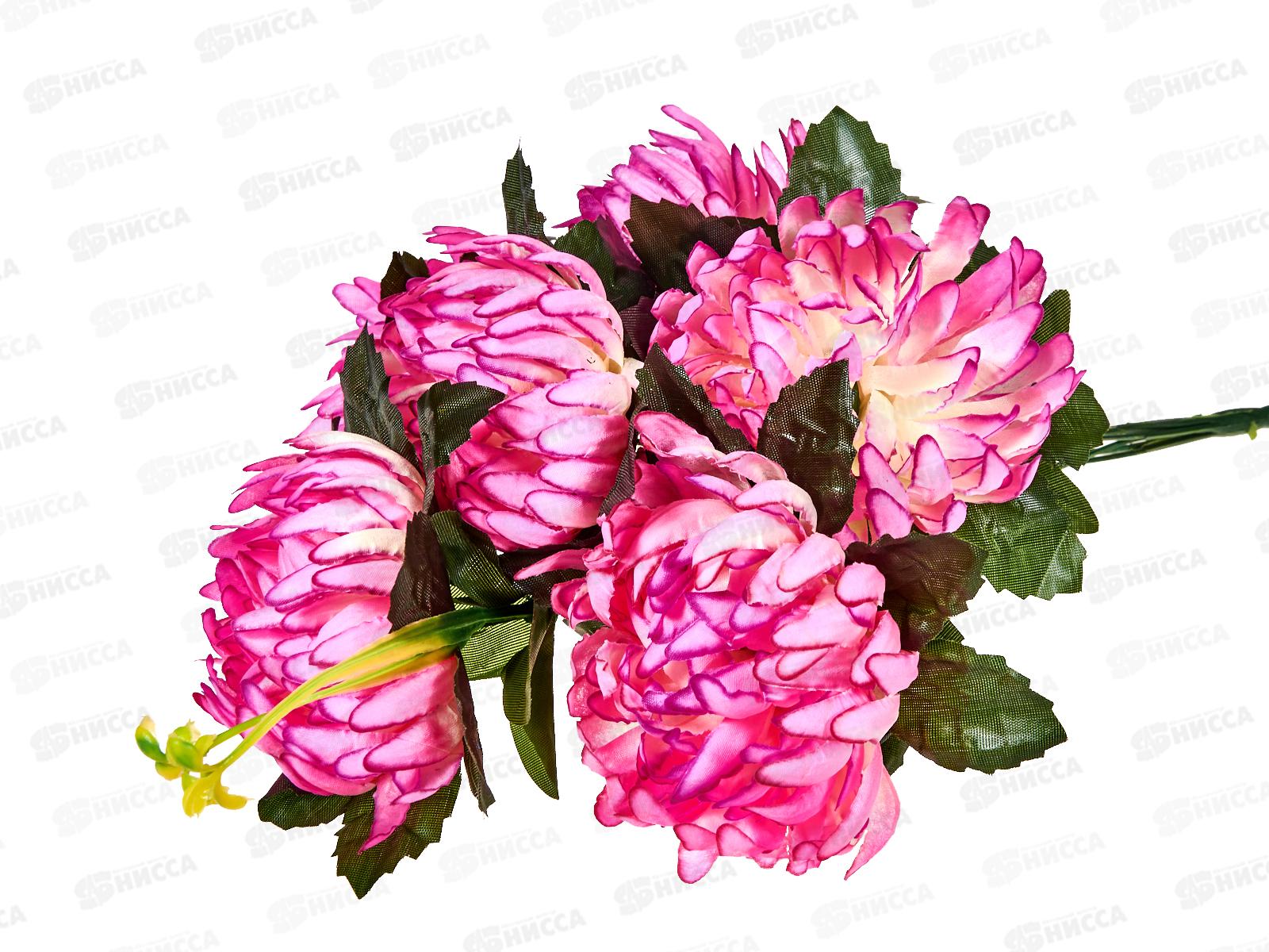 Букет астр 6голов 50см микс 6816 *2/20