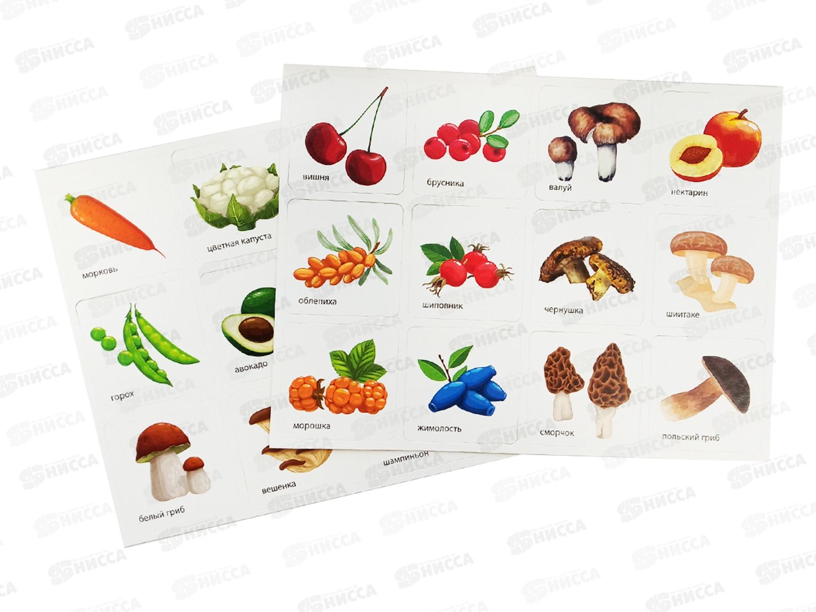 Игра развивающая Умный сортер &quotФрукты, ягоды, овощи, грибы&quot 04718