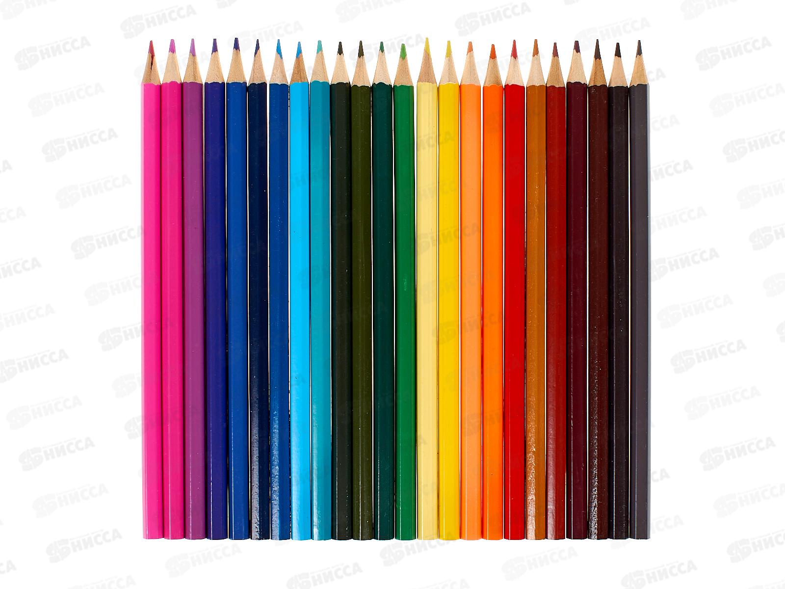 Карандаши 24цв BASIR Лапки, МС-7373-24 *6/120