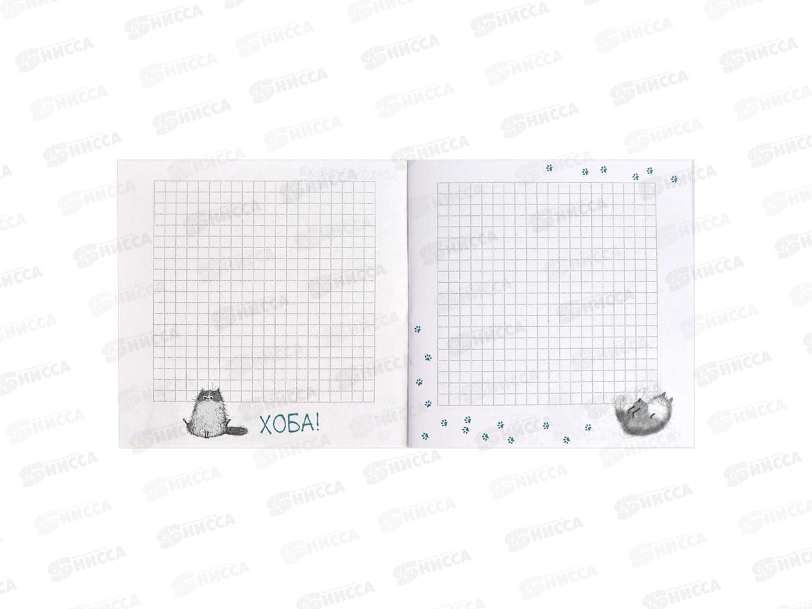 Блокнот 32л ФЕН Сонный енот 130*130мм 66167 *50