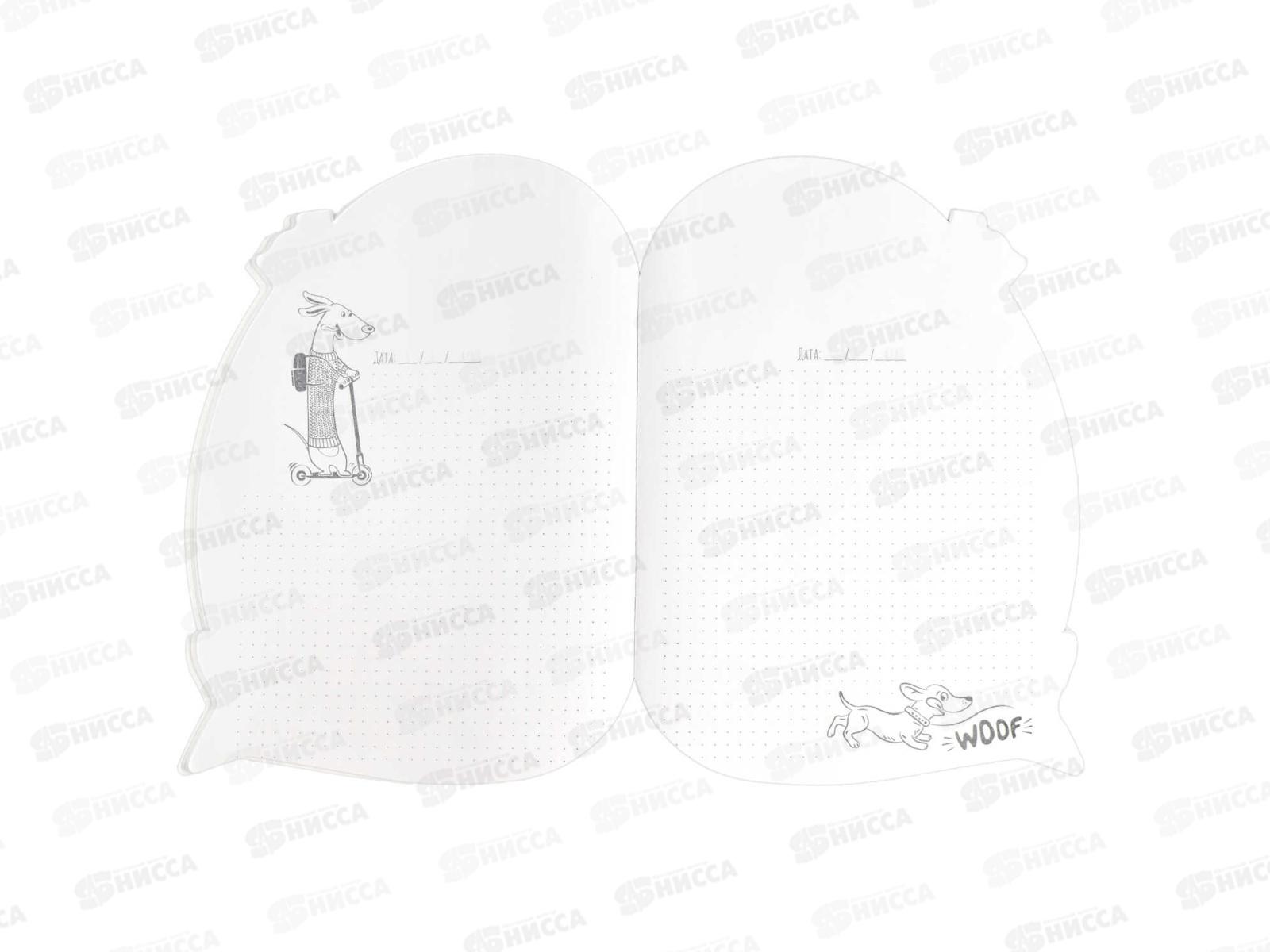 Тетрадь 40л кл. ФЕН Тюлень и сладкий рожок , 64825 *25