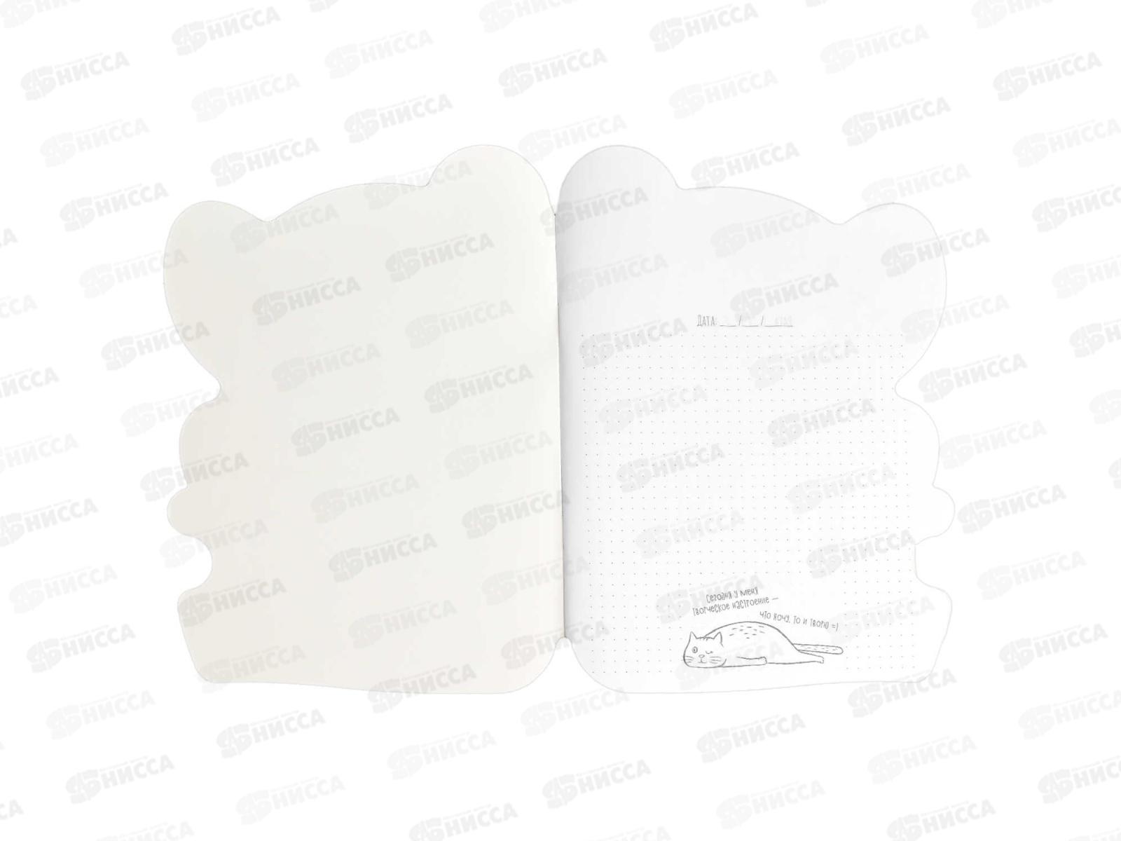 Тетрадь 40л кл. ФЕН Коала , 64827 *50