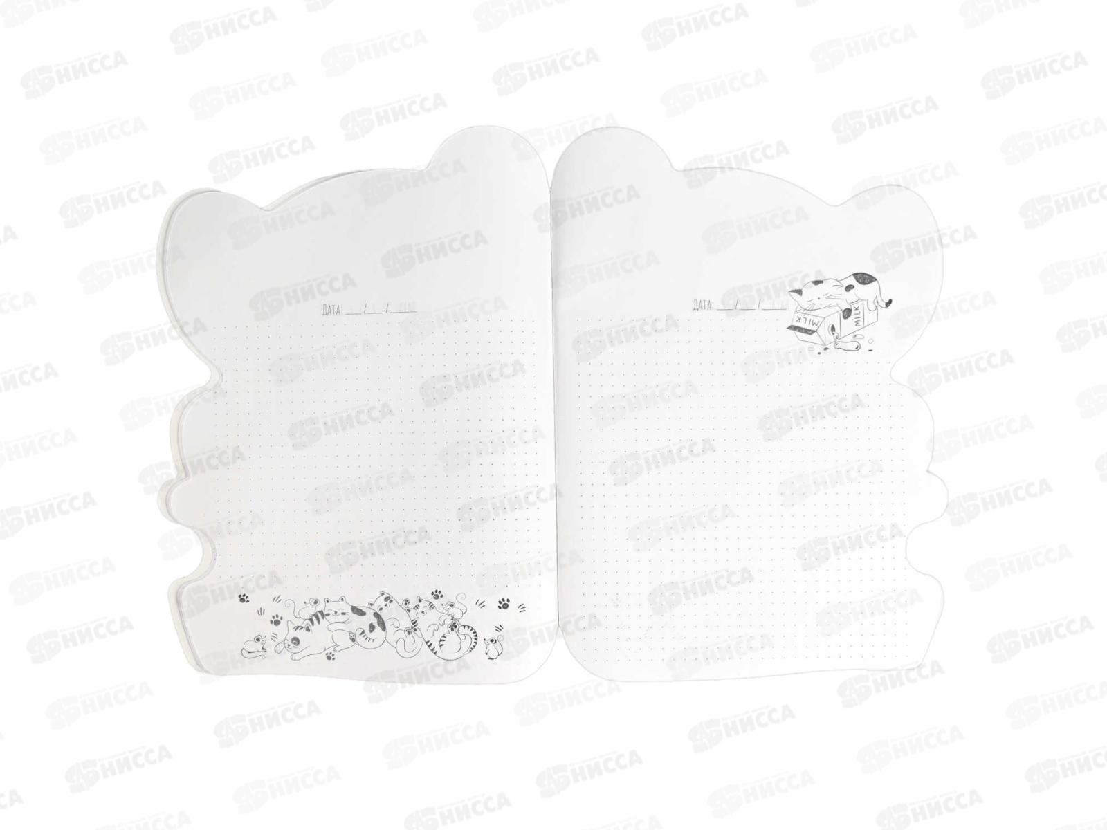 Тетрадь 40л кл. ФЕН Коала , 64827 *50