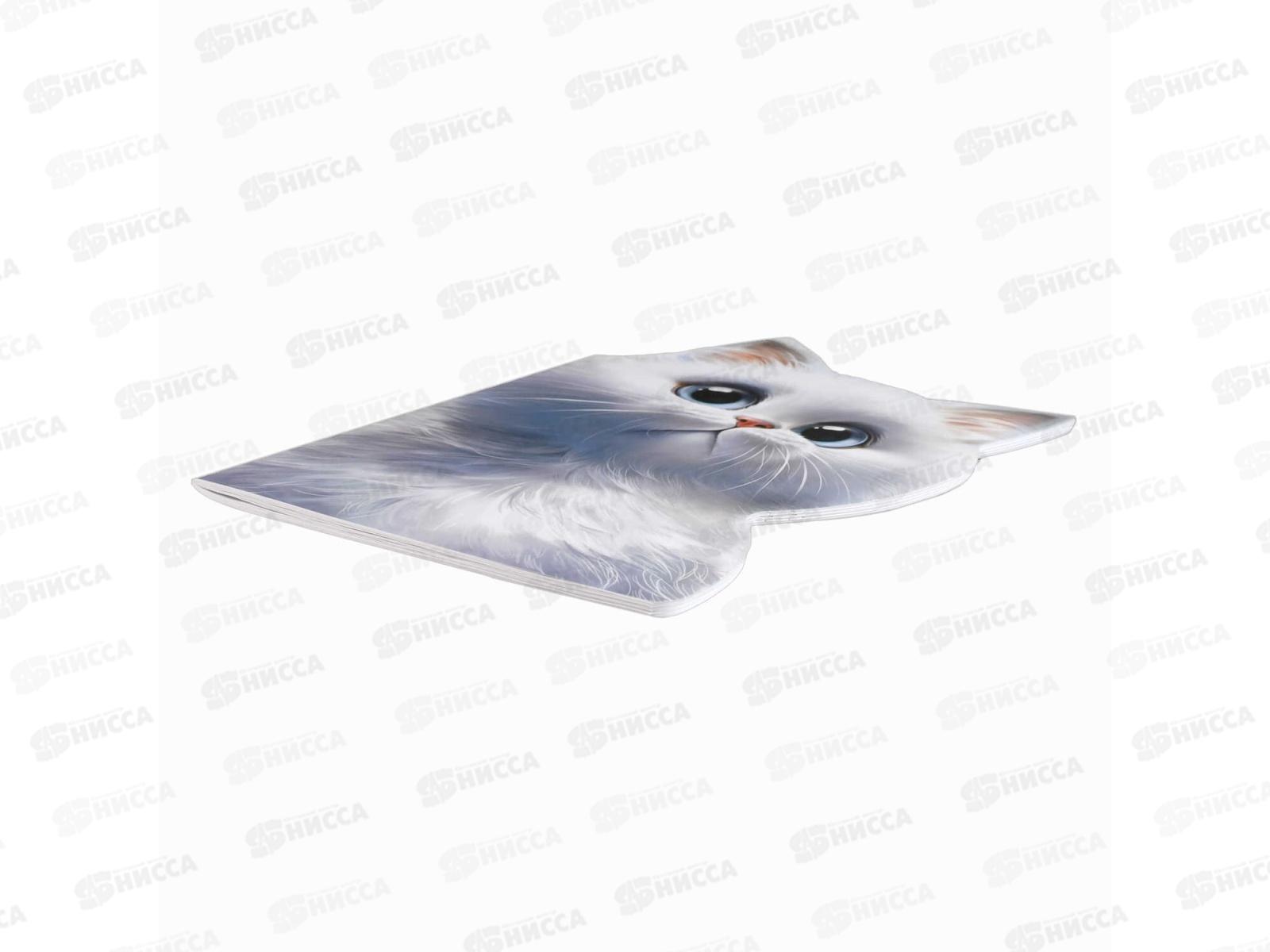 Тетрадь 40л кл. ФЕН Мечтающий кот, 69727 *25