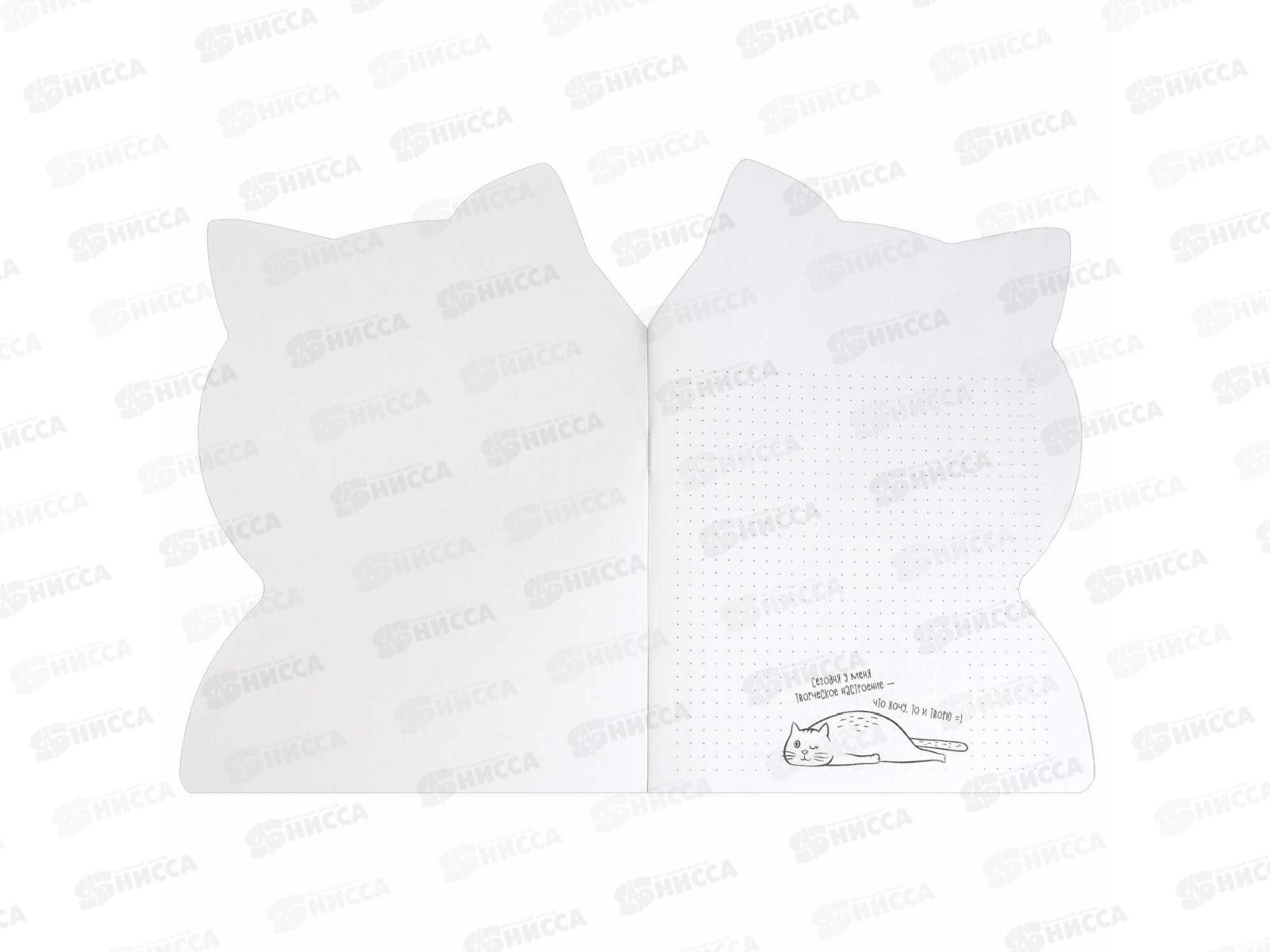 Тетрадь 40л кл. ФЕН Мечтающий кот, 69727 *25