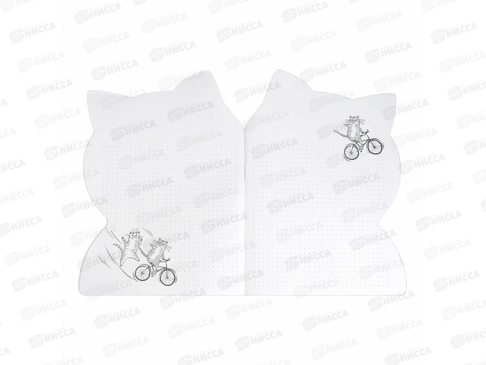 Тетрадь 40л кл. ФЕН Мечтающий кот, 69727 *25