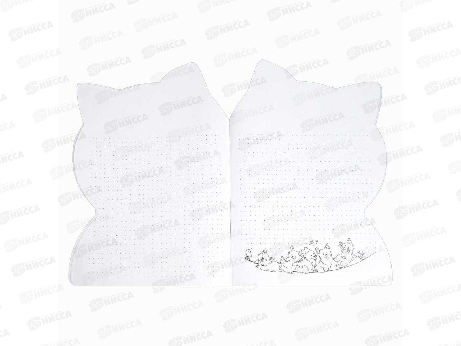 Тетрадь 40л кл. ФЕН Мечтающий кот, 69727 *25