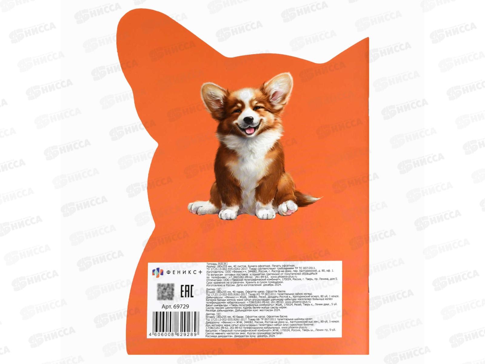 Тетрадь 40л кл. ФЕН Веселый корги, 69729 *25