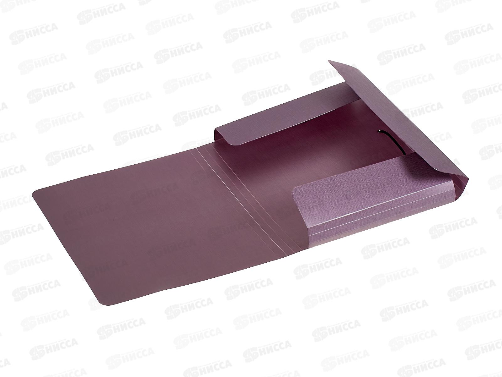 Папка на резинке EXPERT Complete, А5 Ежевика, 600мкм 25мм, ЕС210425072