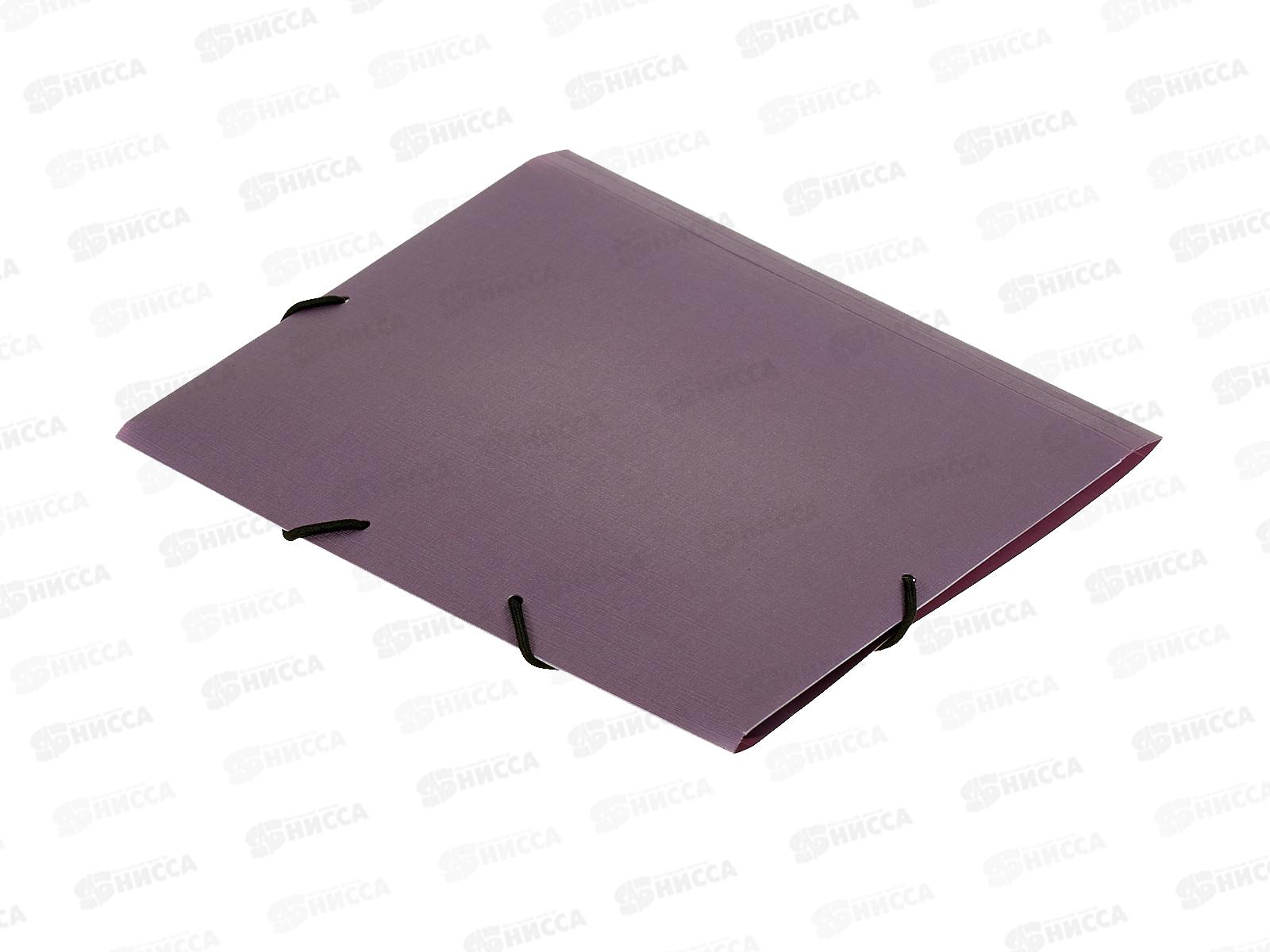 Папка на резинке EXPERT Complete, А5 Ежевика, 600мкм 25мм, ЕС210425072