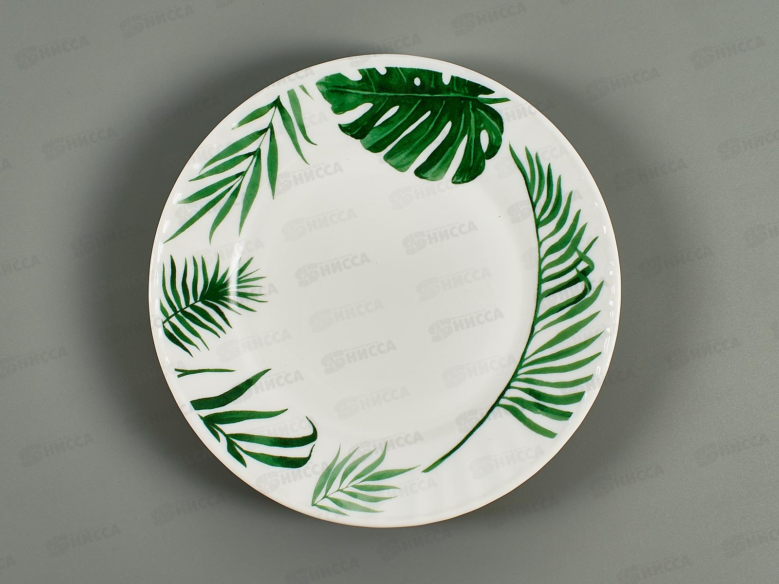 Тарелка плоская круглая 20см папоротник 20019-т8 *6/48