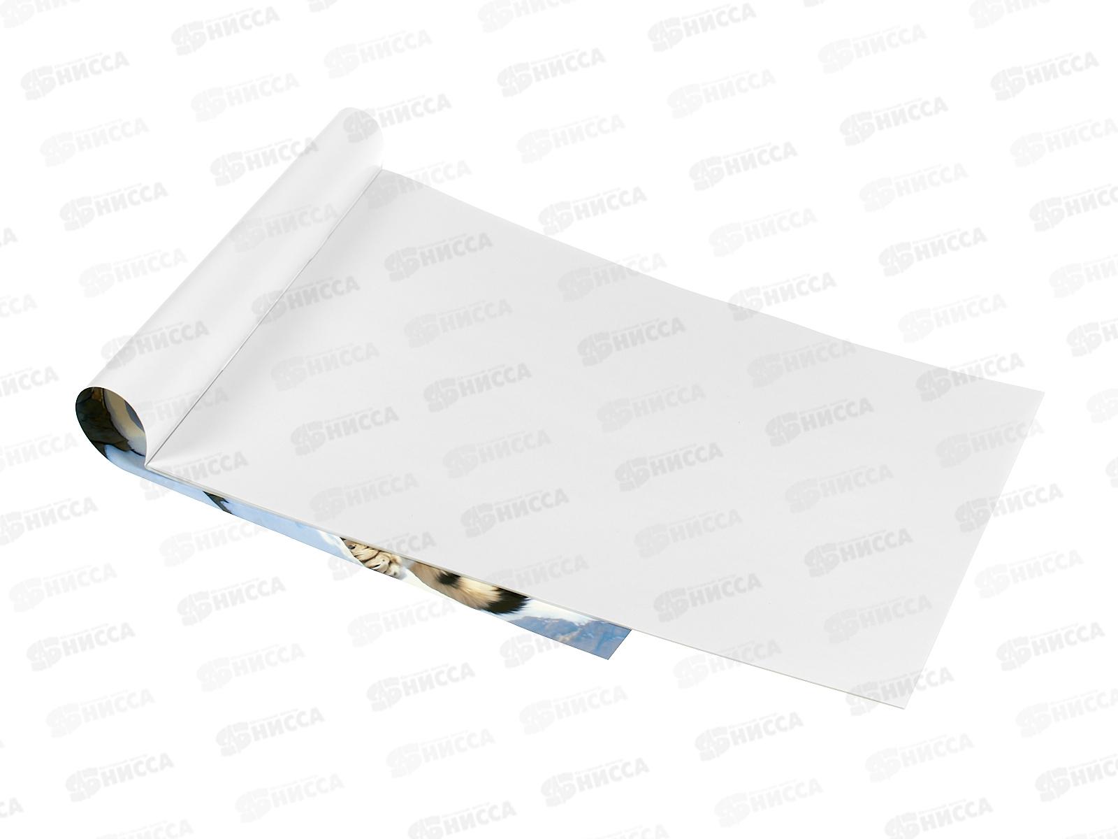 Альбом д/рис.12л ПГС Животный мир *20