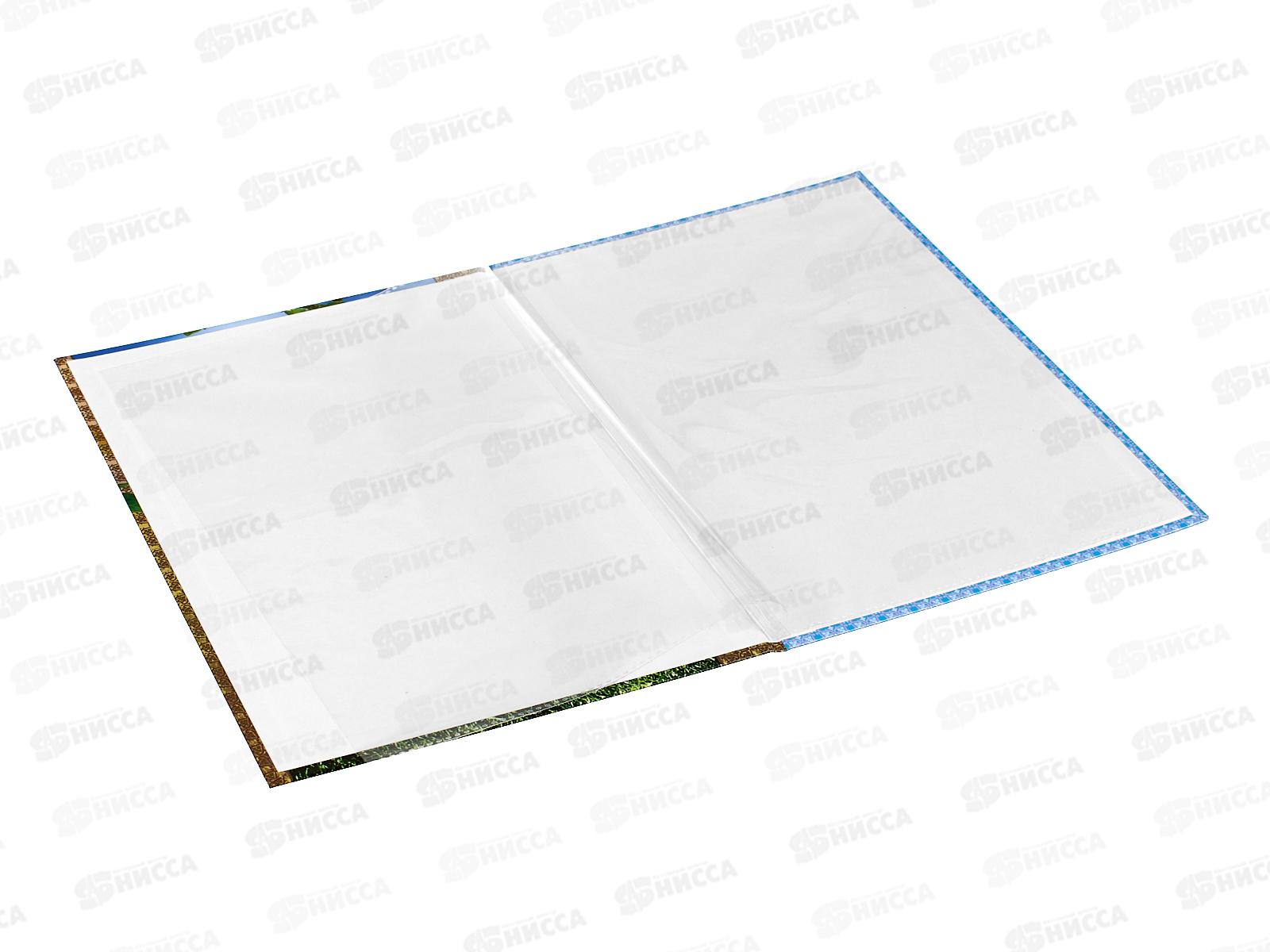 Папка ЛиС А4 Выпускнику начальной школы &quotВесна&quot (ламинат) 03548-ВН