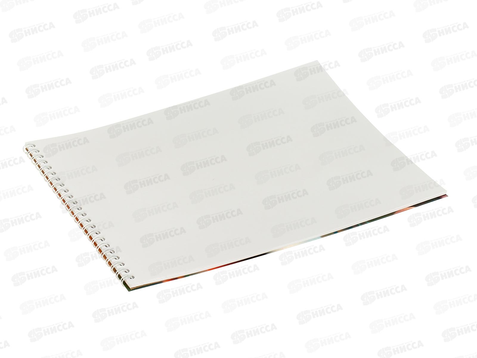 Альбом д/рис.20л Апплика, Друзья. греб. С0224-64  *100