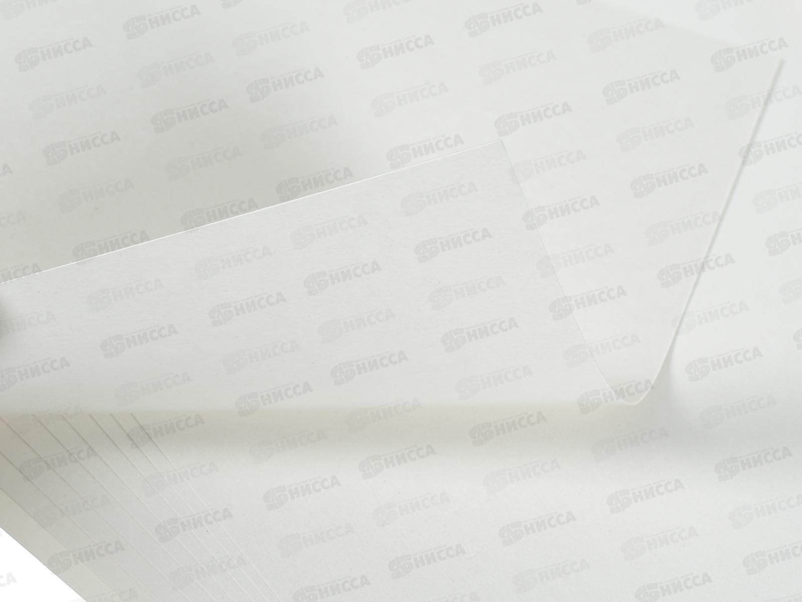 Картон Белый А4 Апплика 10л, Милый щенок С0686-01 *60