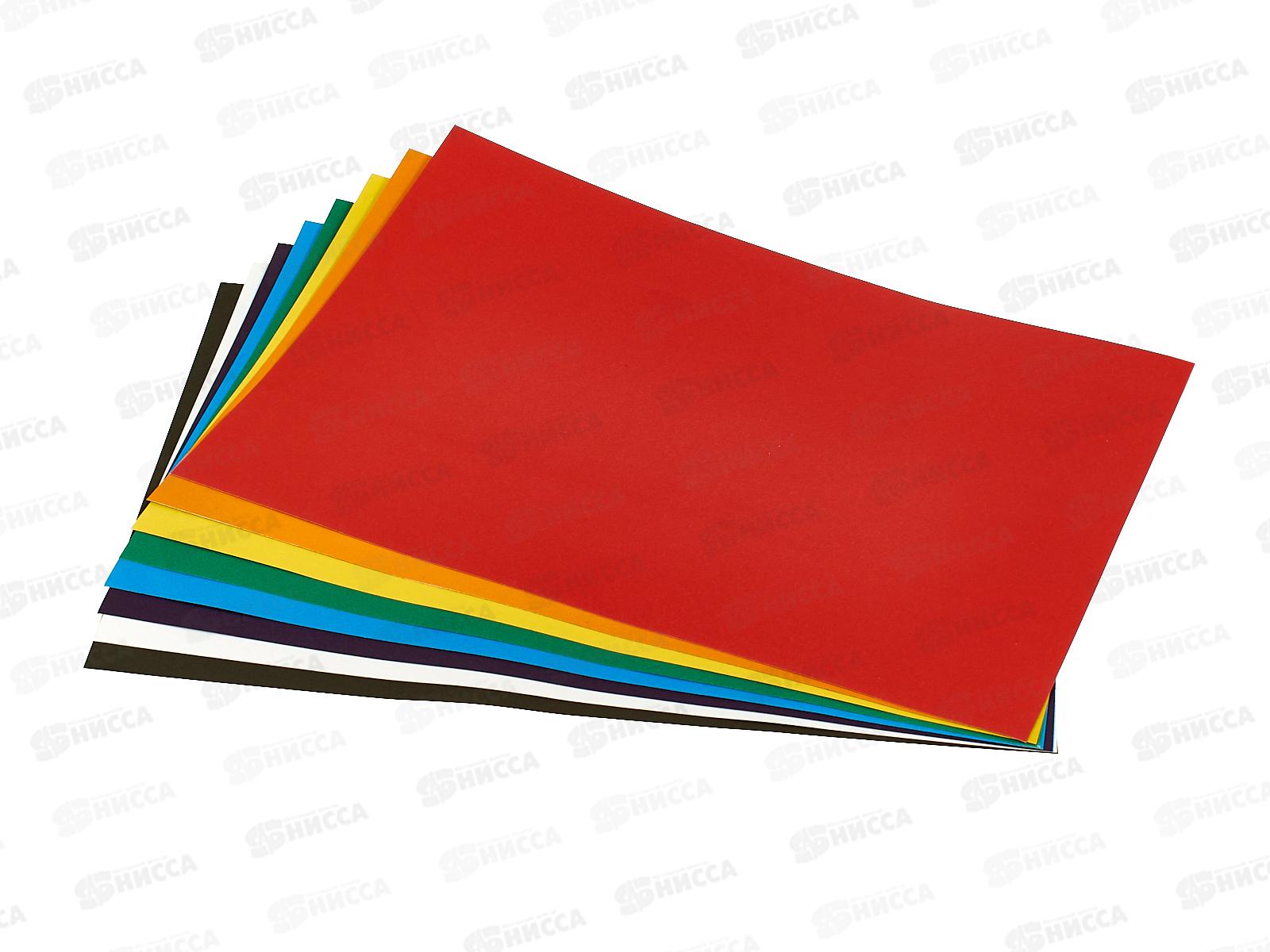 Цветной карт. А3 Апплика 8л 8цв Милый щенок С0164-08 *60