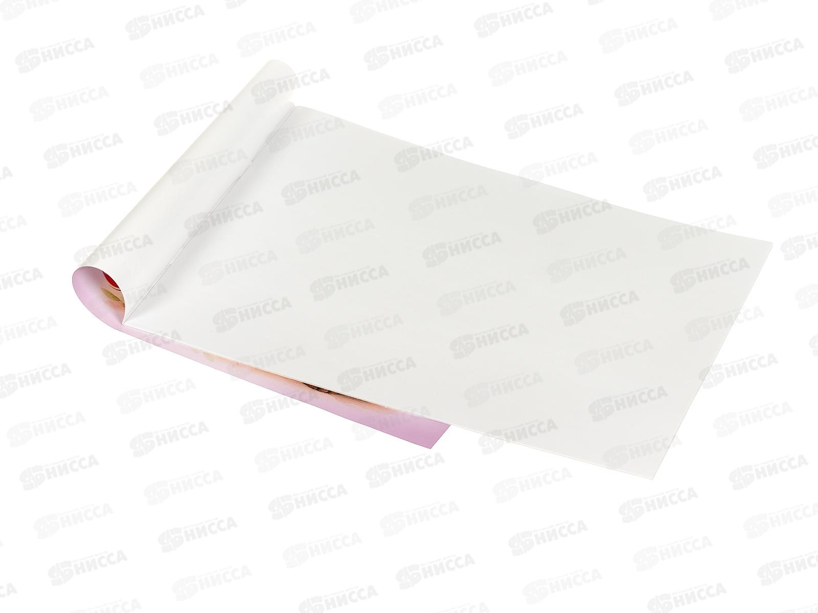 Альбом д/рис.12л ПГС Зверюшки, офс. *20