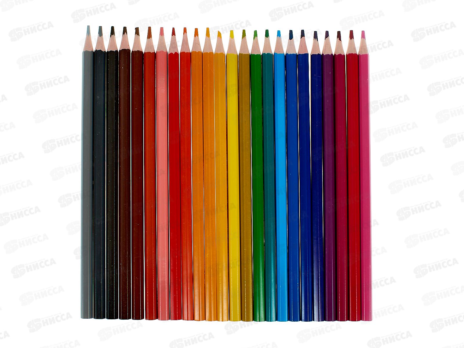 Карандаши 24цв Profit Котенок Мяу, пластик, 2М, КЦ-2631 *12