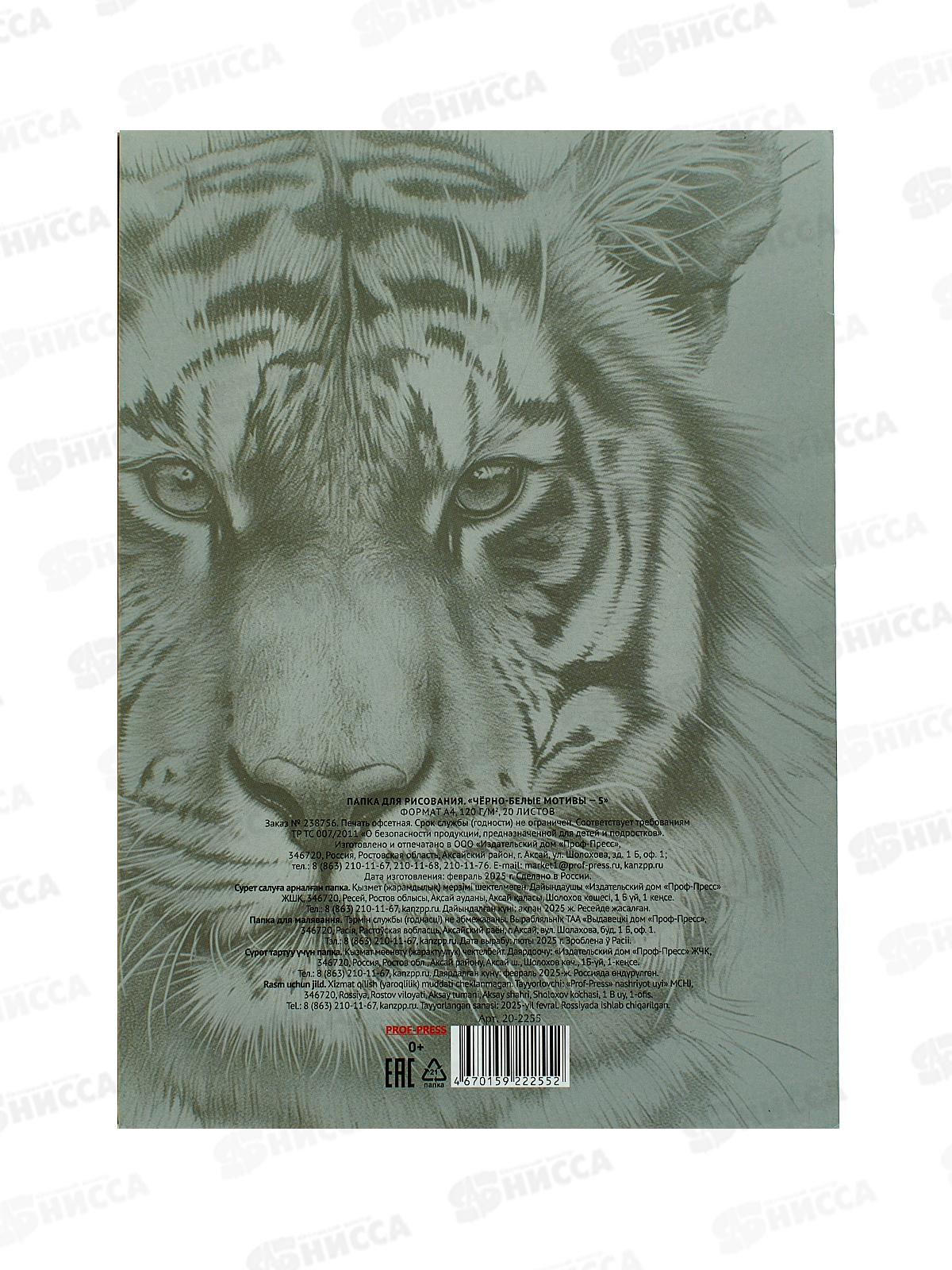 Папка для рисования А4 20л Чёрно-белые мотивы - 5, 120г/м2, 20-2255  *20