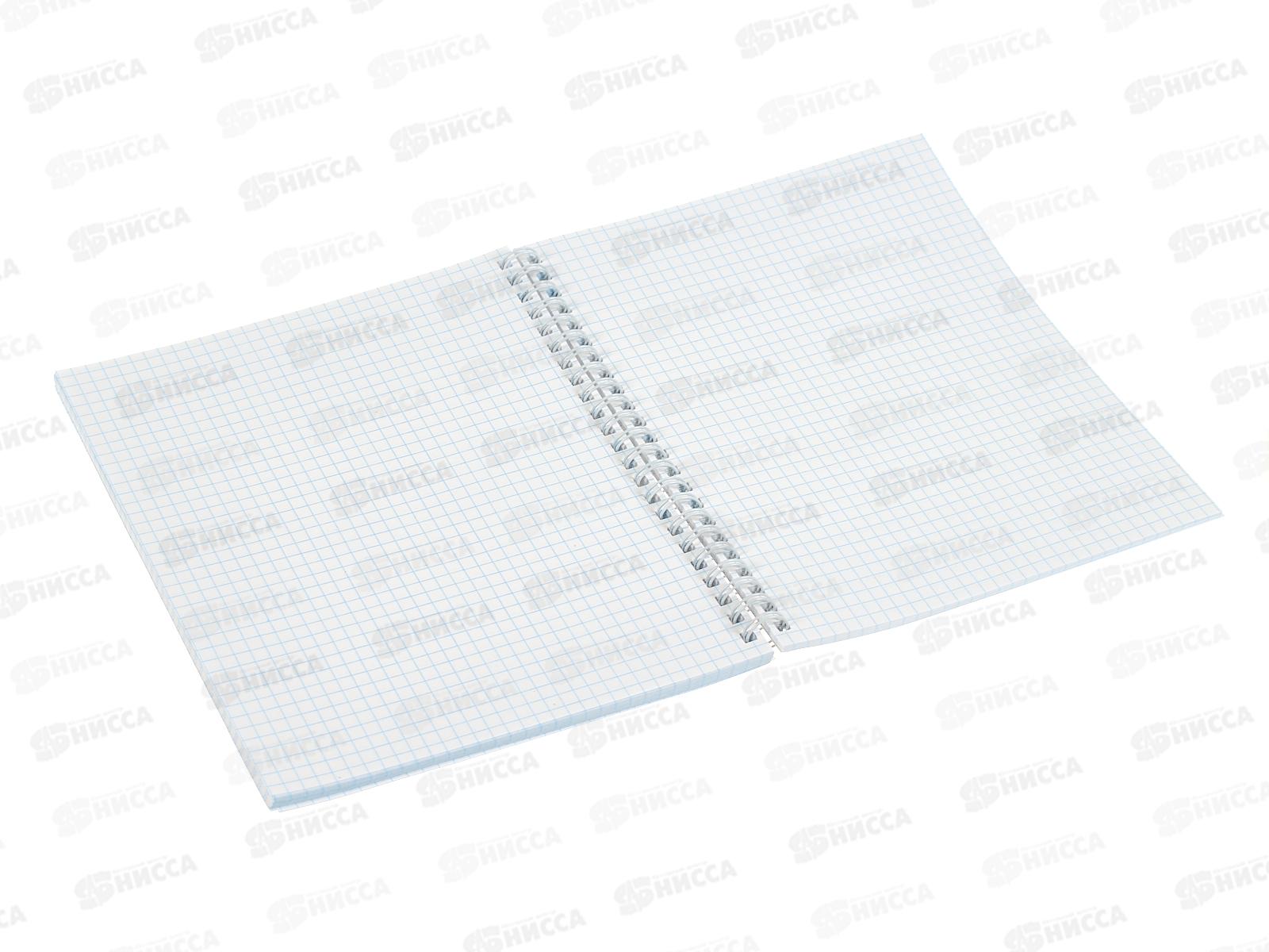 Тетрадь 96л клетка Profit Пушистые котики - 1, на гребне, Т96-4852 *6/48