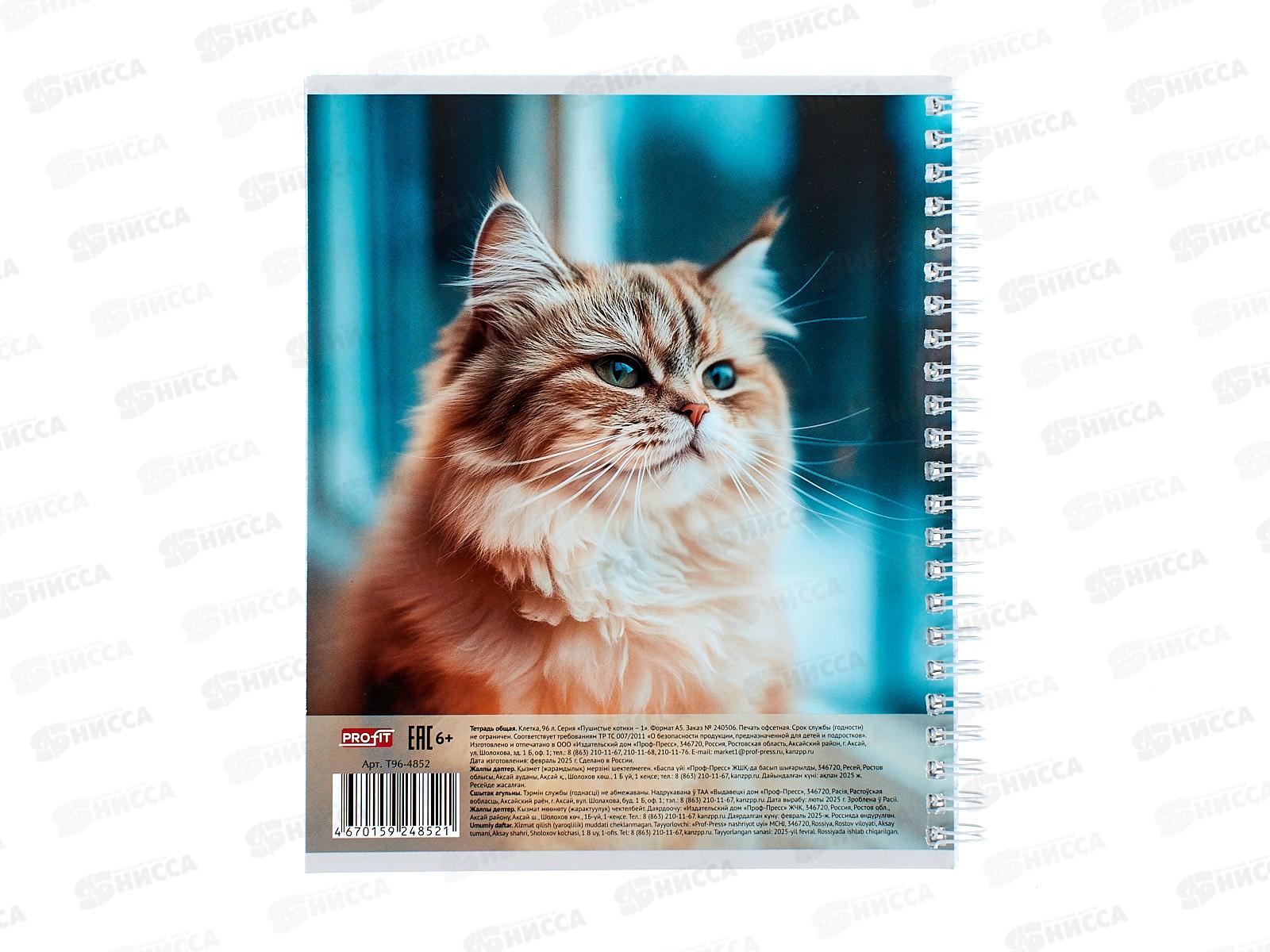 Тетрадь 96л клетка Profit Пушистые котики - 1, на гребне, Т96-4852 *6/48