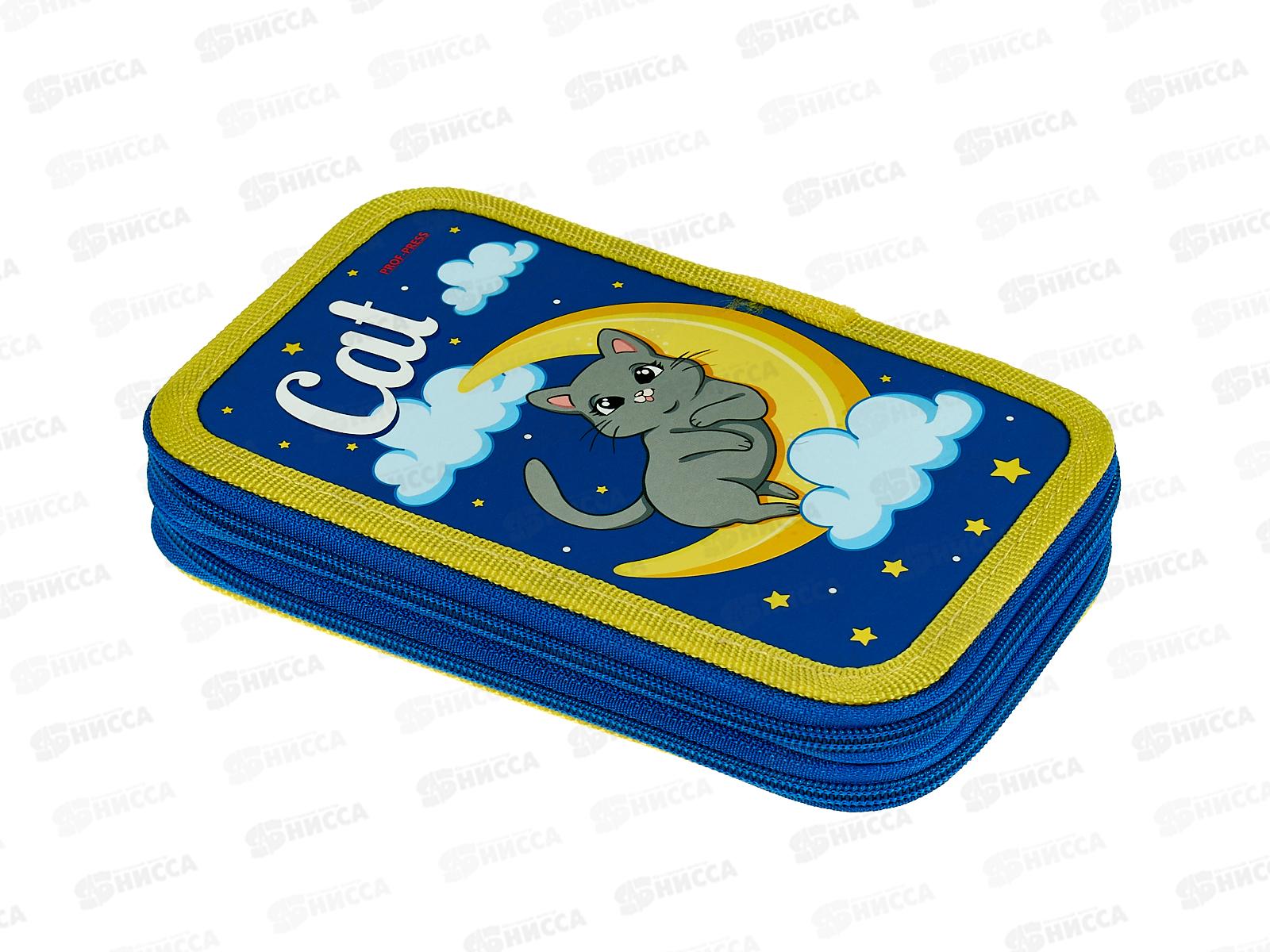 Пенал 2-секц ПП большой Кошечка на луне, 190х115, ПН-1358 *32