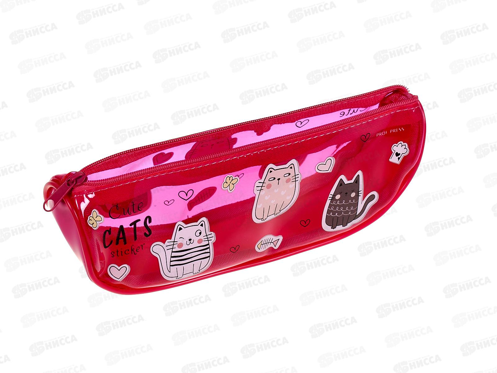 Пенал-косметичка ПП Очаровательные котики, ПН-4917, 210х75х55мм силикон *30