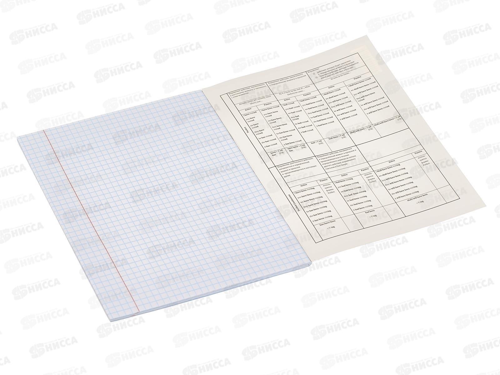 Тетрадь 48л клетка ПП &quotПРО ХВОСТ&quot Английский язык, 48-2460 *10/80