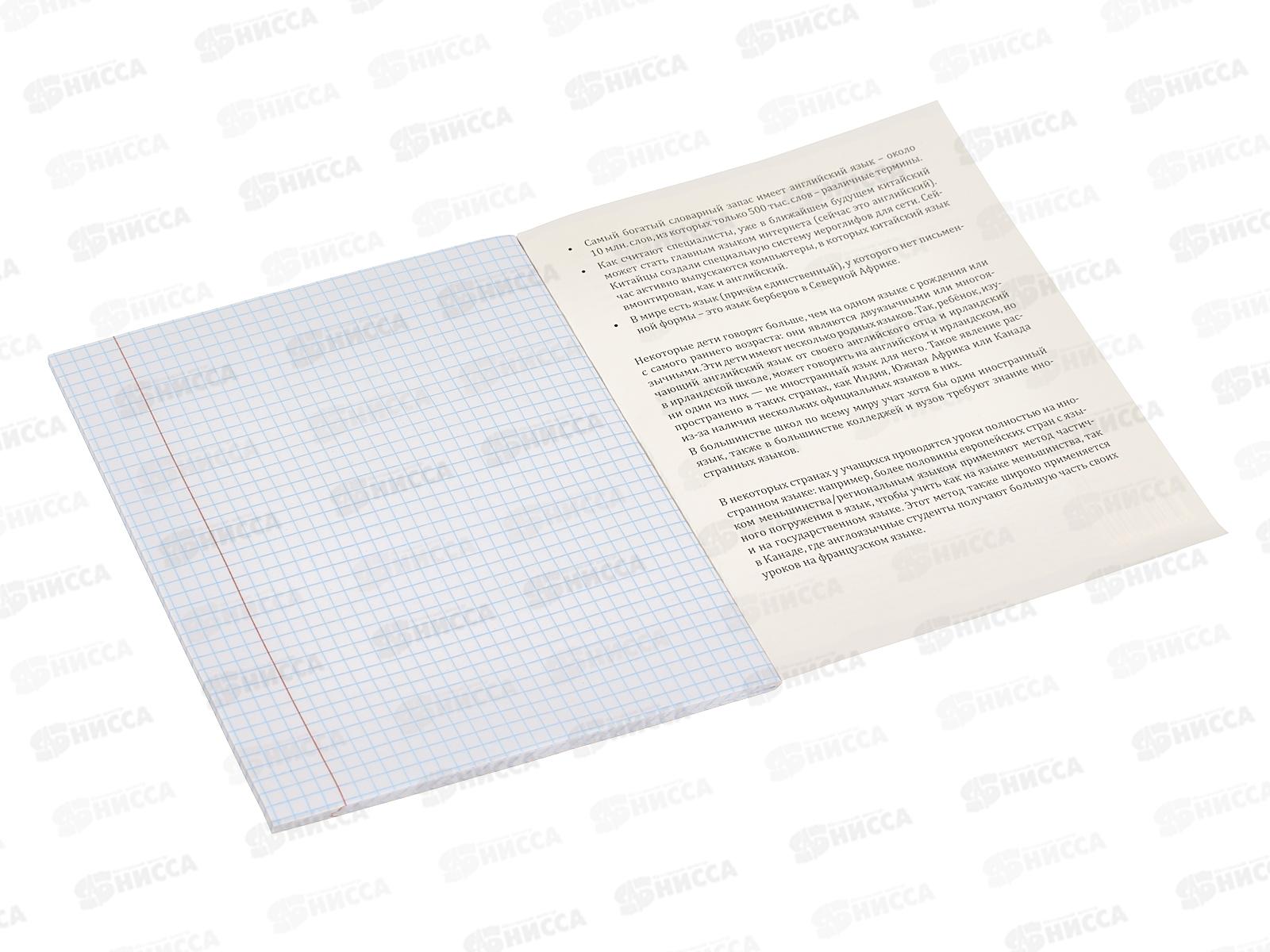 Тетрадь 48л клетка ПП &quotПРО ХВОСТ&quot Иностранный язык, 48-2464 *10/80