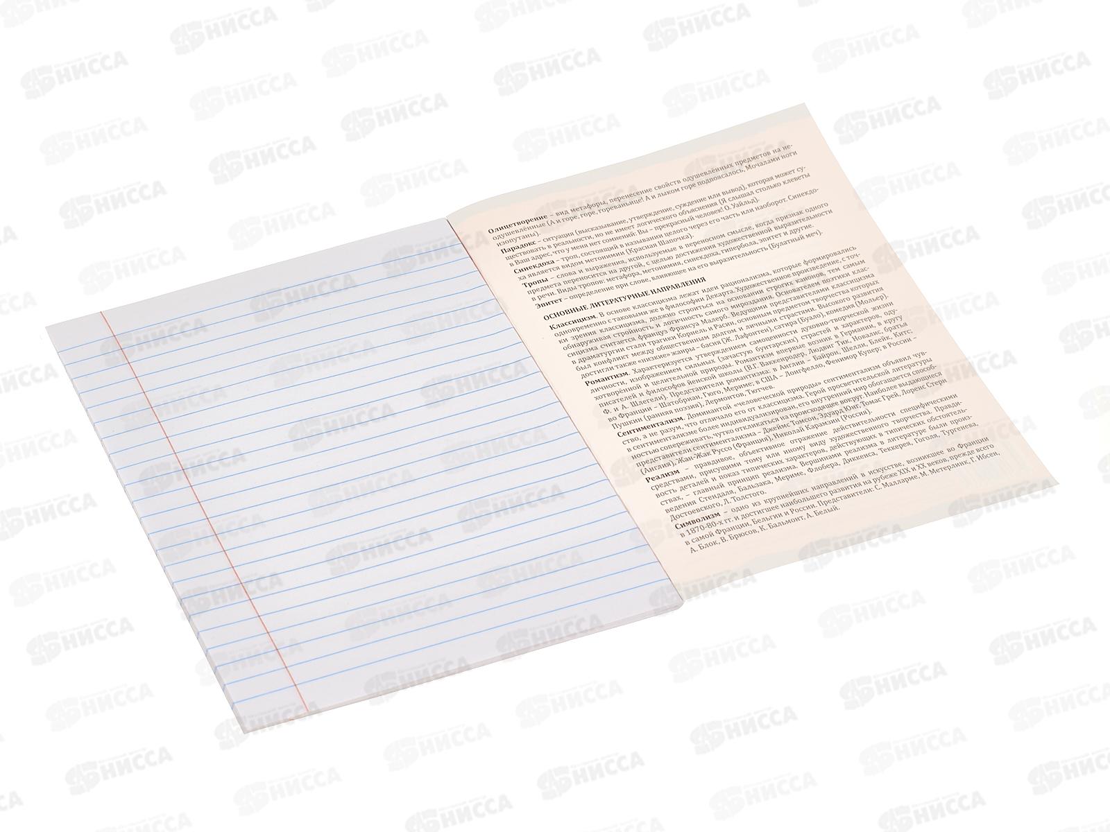 Тетрадь 48л линия ПП &quotПРО ХВОСТ&quot Литература, 48-2501 стандарт *10/80