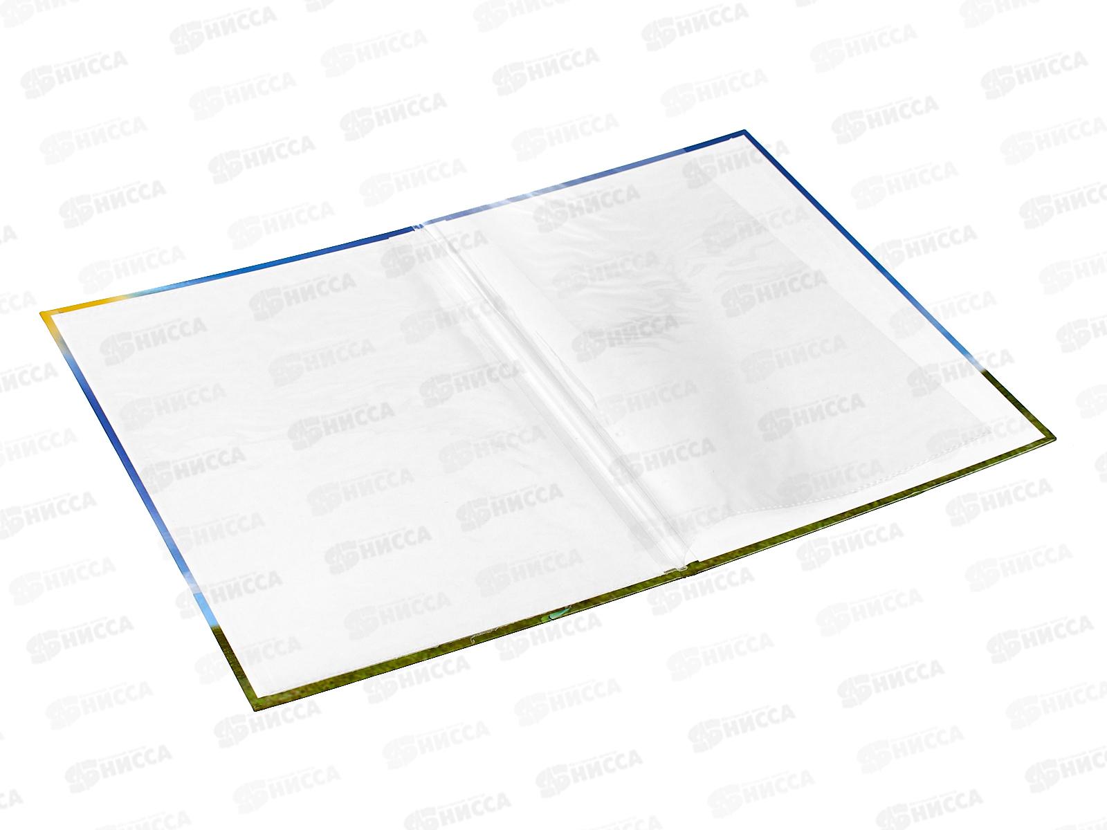 Папка ЛиС А4 Выпускнику детского сада (ламинат) П4Л-03537