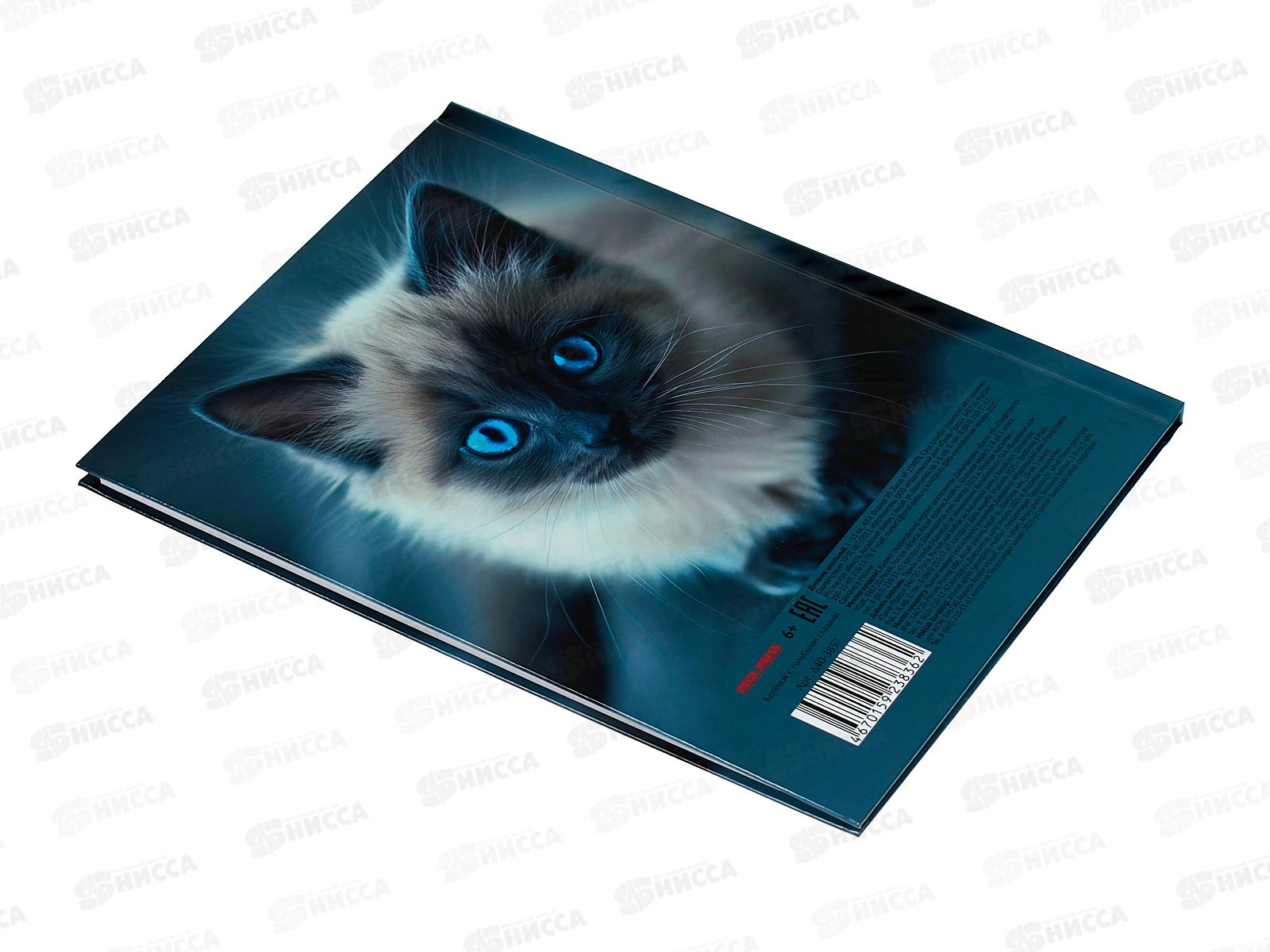 Дневник ПП Котенок с голубыми глазами, универсальный, Д40-3857