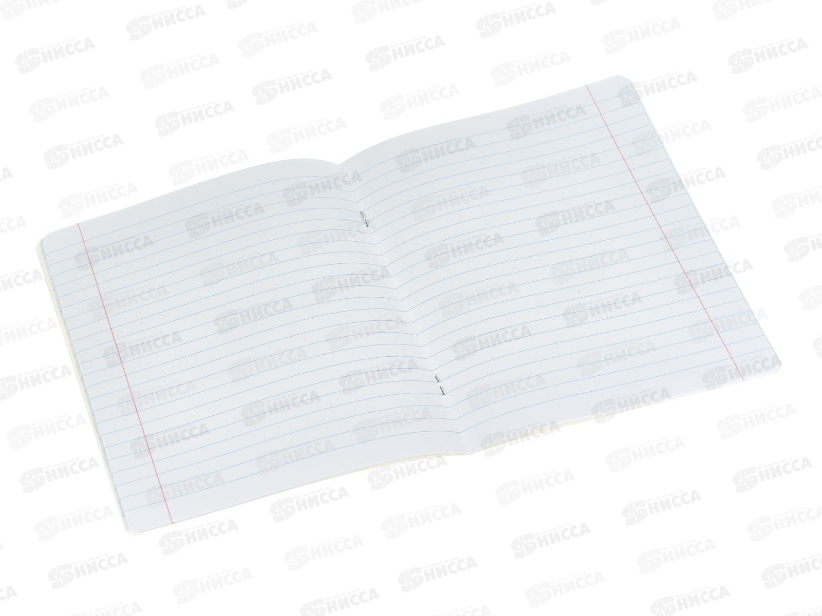 Тетрадь 18л лин. Hatber Черный котик 091440  *10/120