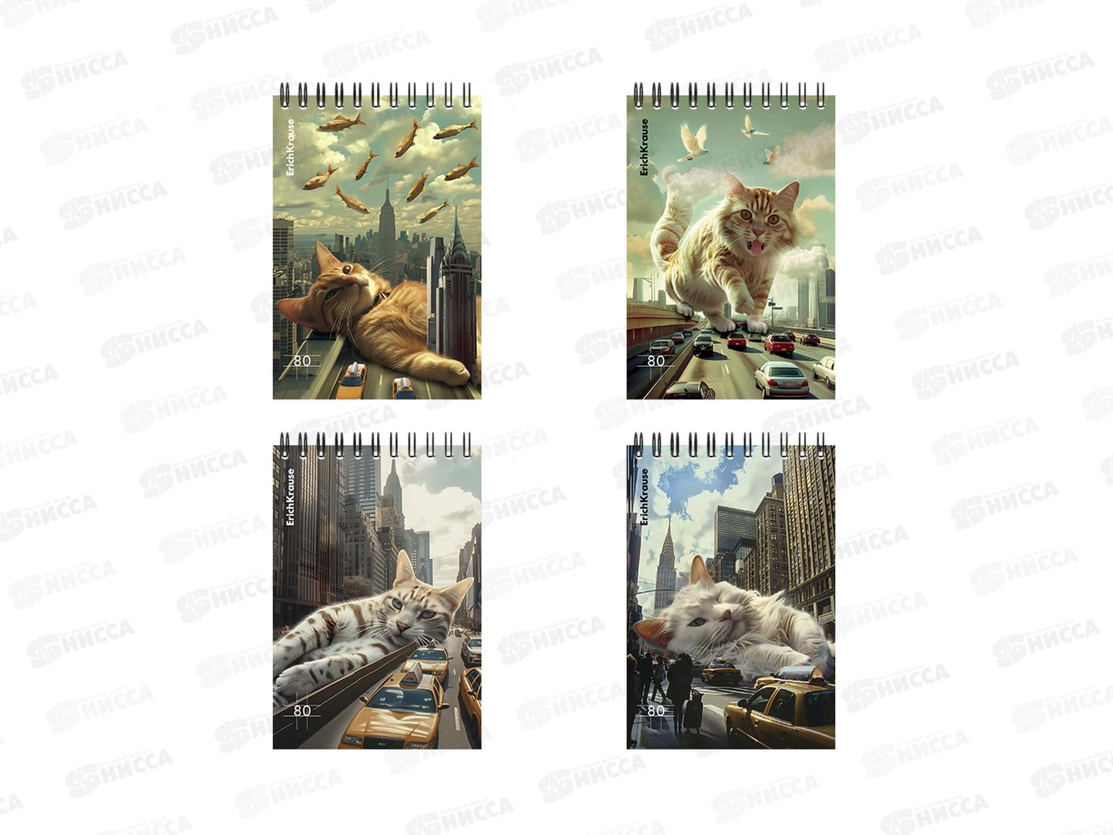 Блокнот 80л кл. EK А6 Big City Cats, гребень 63385 *24