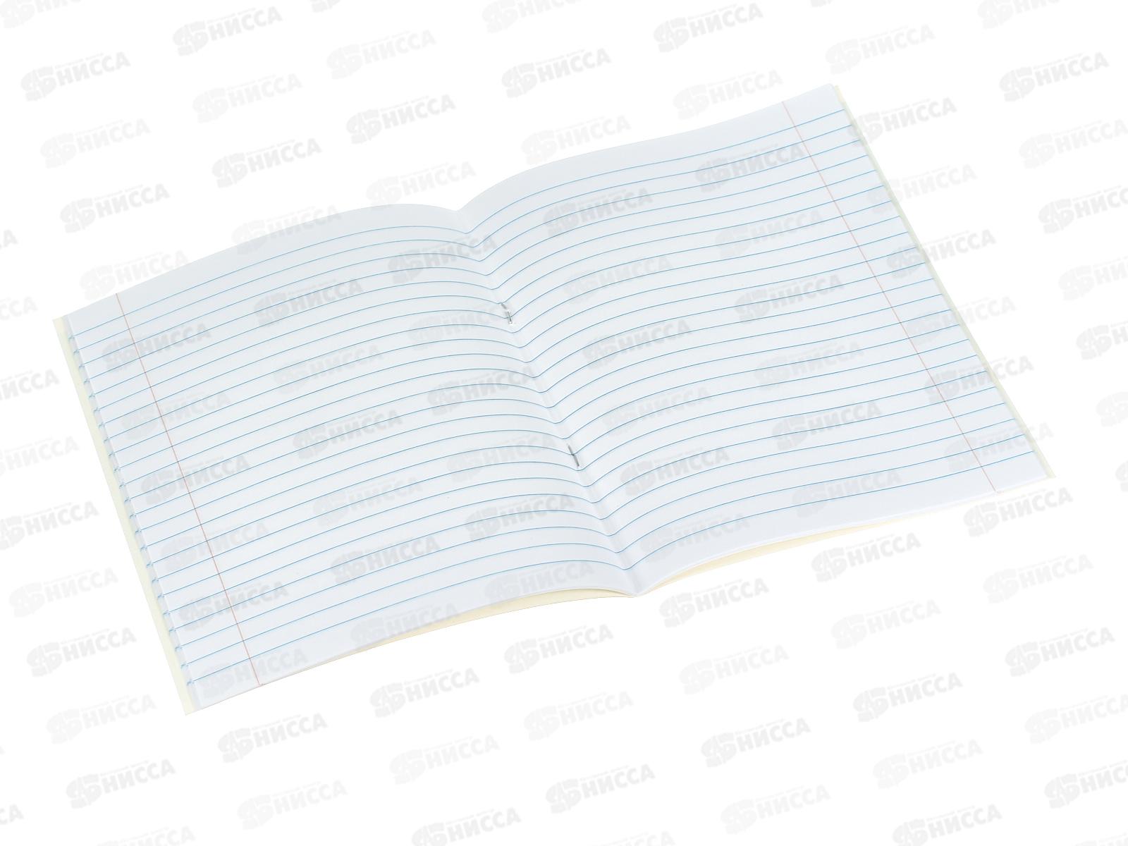 Тетрадь 24л лин. ЭКСМ Осторожно, кот!  ТЛ249263 *60