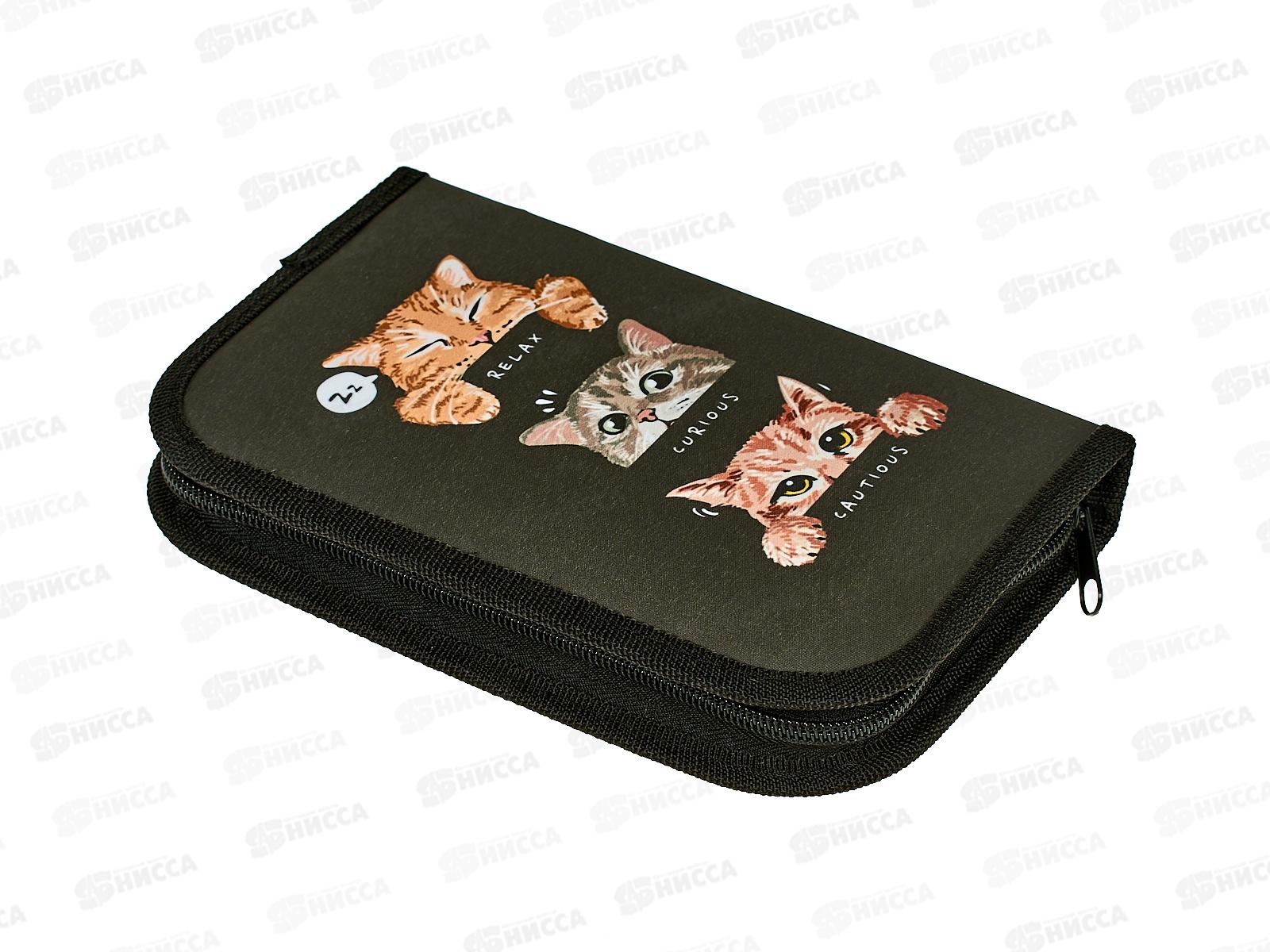 Пенал 1-секц schoolФОРМАТ Три кота 130*200*20 ПТК1-ТК *40