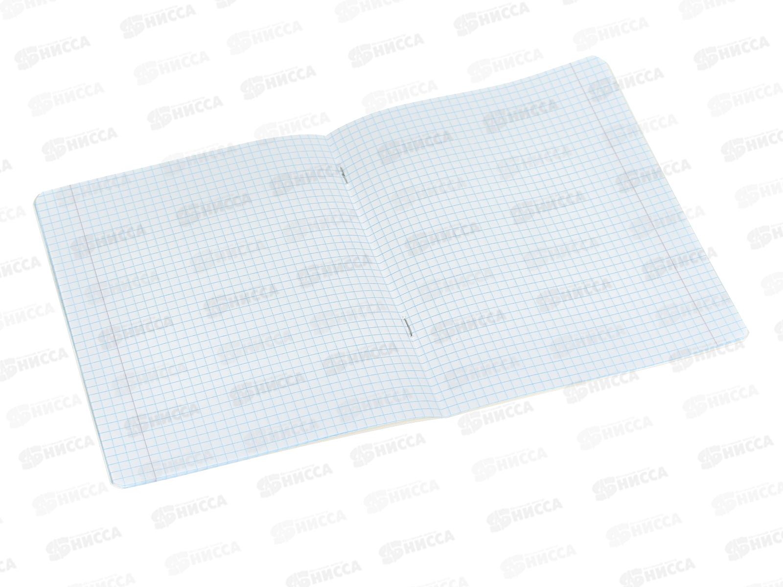 Тетрадь 12л кл. schoolФОРМАТ На полянке, ТШК12- НП *12/240