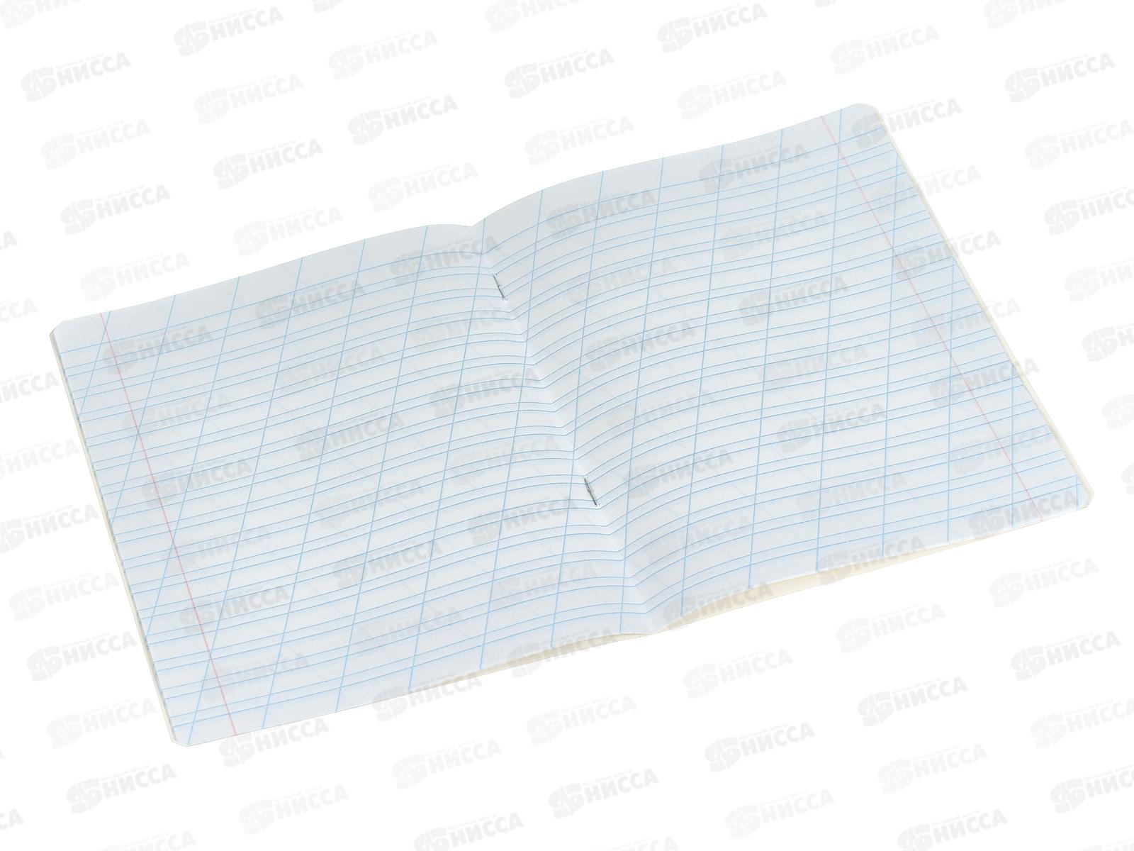 Тетрадь 12л кос.лин schoolФОРМАТ Яркие зверята, ТШКЛ12-ЯЗВ *12/240