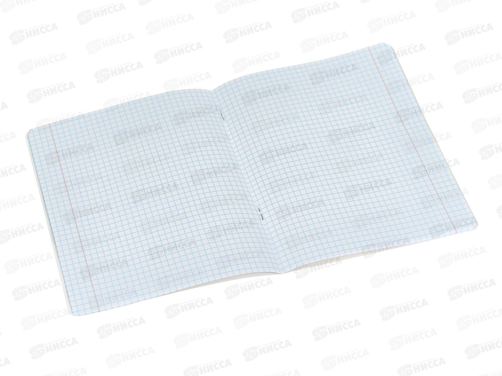 Тетрадь 18л кл. schoolФОРМАТ Игривый космокотик ТШК18-ИКК  *12/192