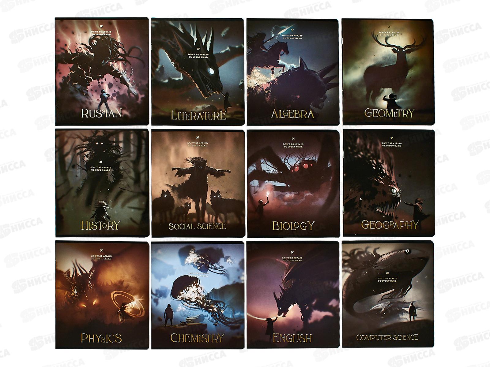 Набор 48л тетр. Lorex Demons inside 12шт. LXSCSET12-DI *6