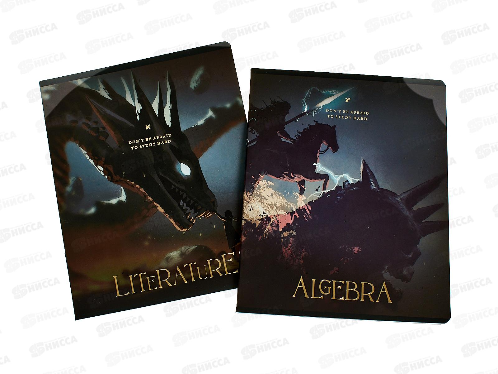 Набор 48л тетр. Lorex Demons inside 12шт. LXSCSET12-DI *6