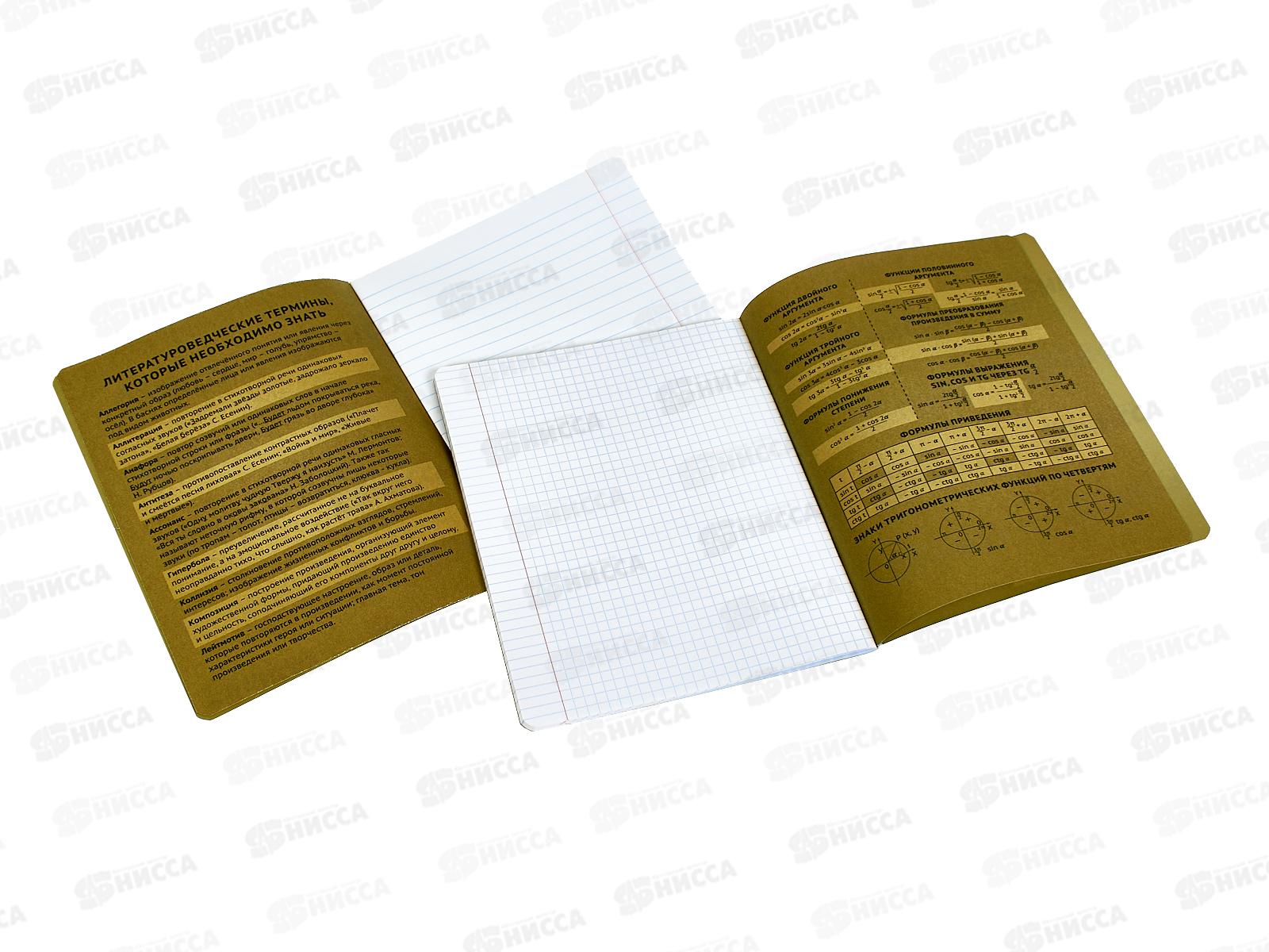 Набор 48л тетр. Lorex Demons inside 12шт. LXSCSET12-DI *6