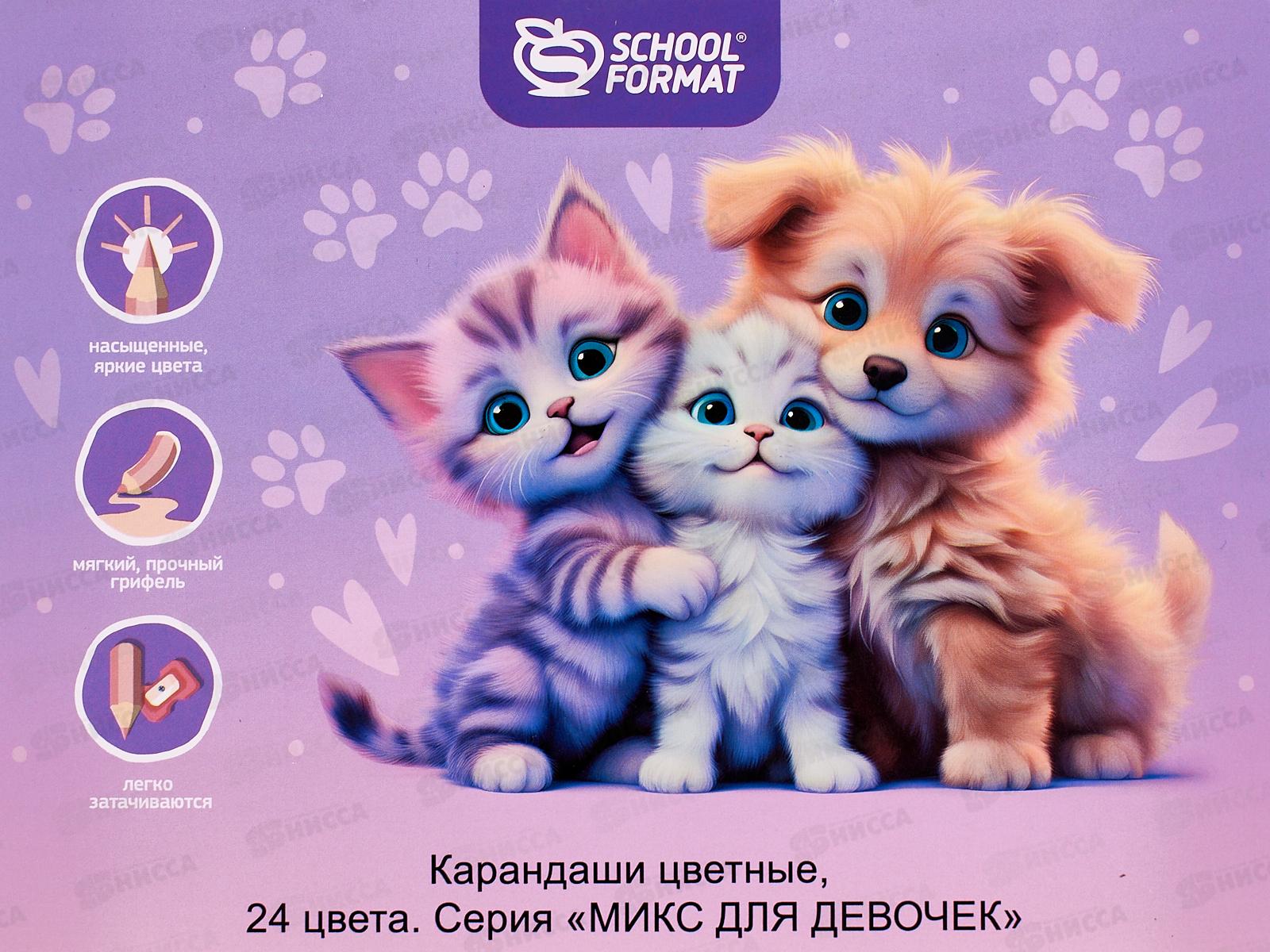 Карандаши 24цв SchoolФОРМАТ Микс для девочек шестигр.дер.  КЦ24-МДВ*6