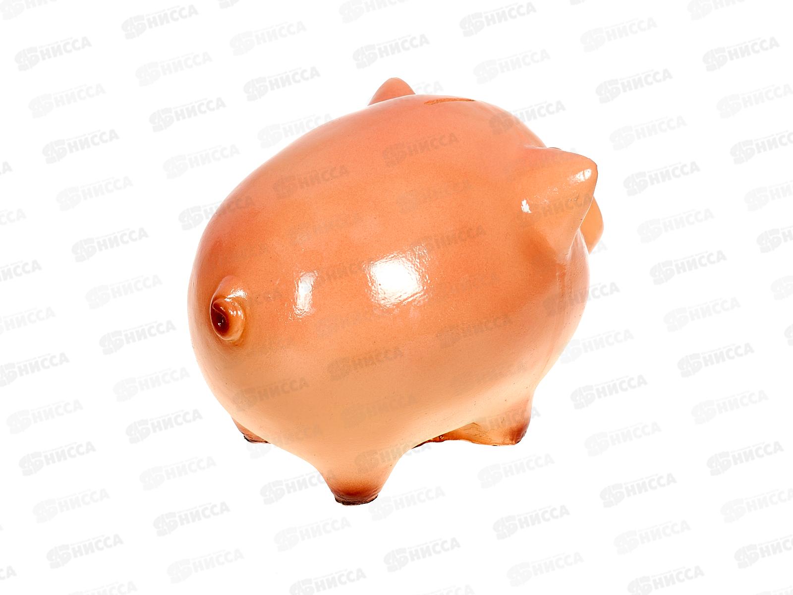 Копилка &quotПоросёнок&quot (150*230мм) арт.302