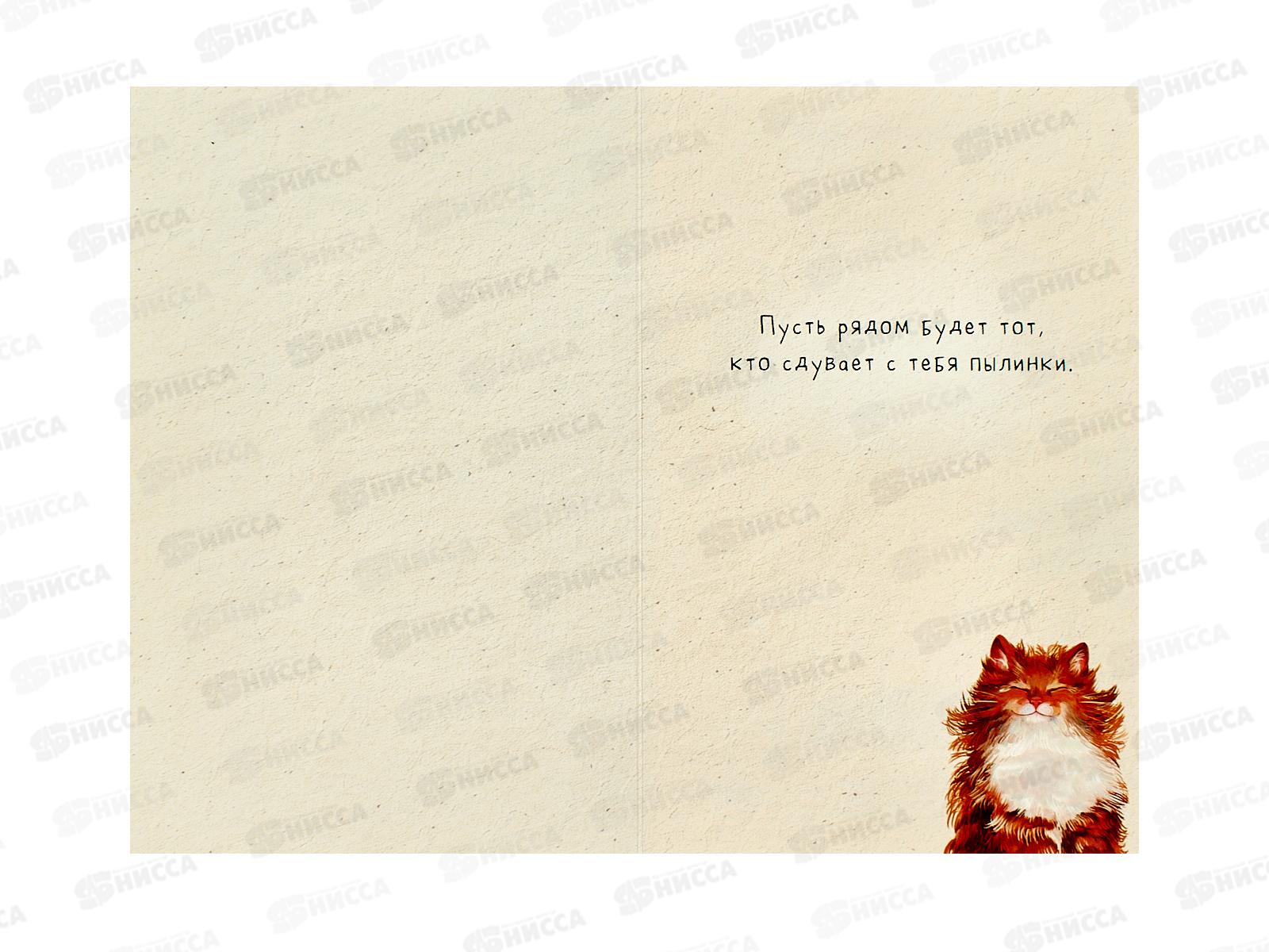 Открытка 121*183 Котик 0573.170